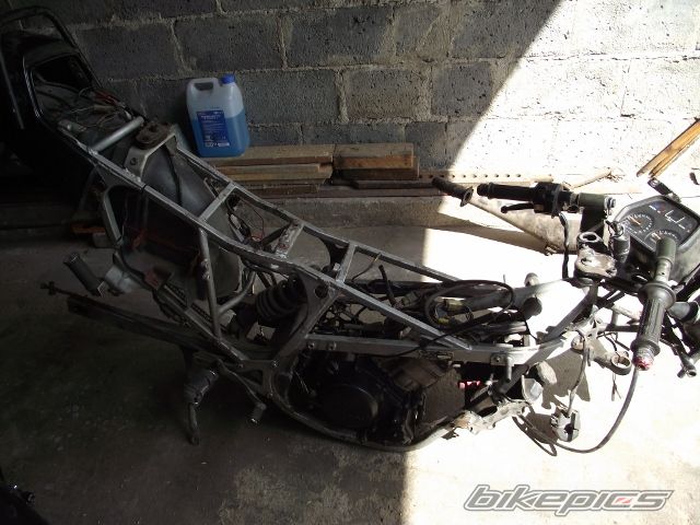    | Picture 2440824 motorcycle photo