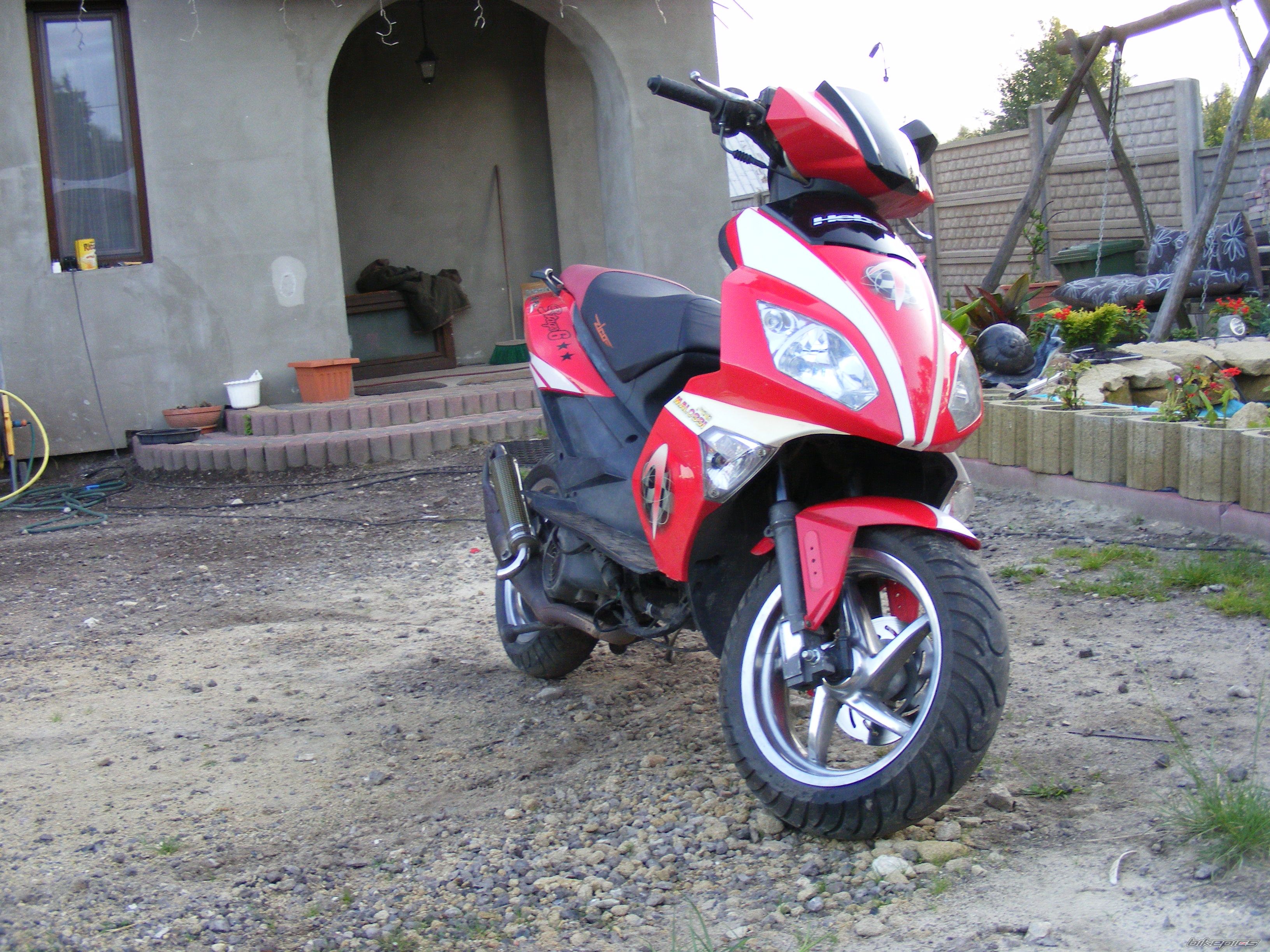 2008 APRILIA SR 50 | Picture 2441443 motorcycle photo