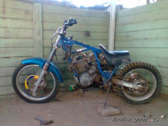 1986 YAMAHA XT 600 | Picture 2441541 motorcycle photo