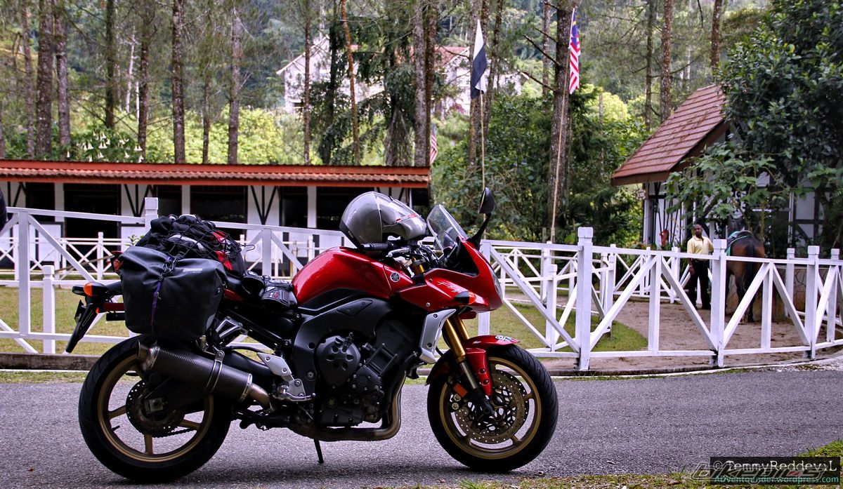 2008 YAMAHA FZ 1 | Picture 2441546 motorcycle photo