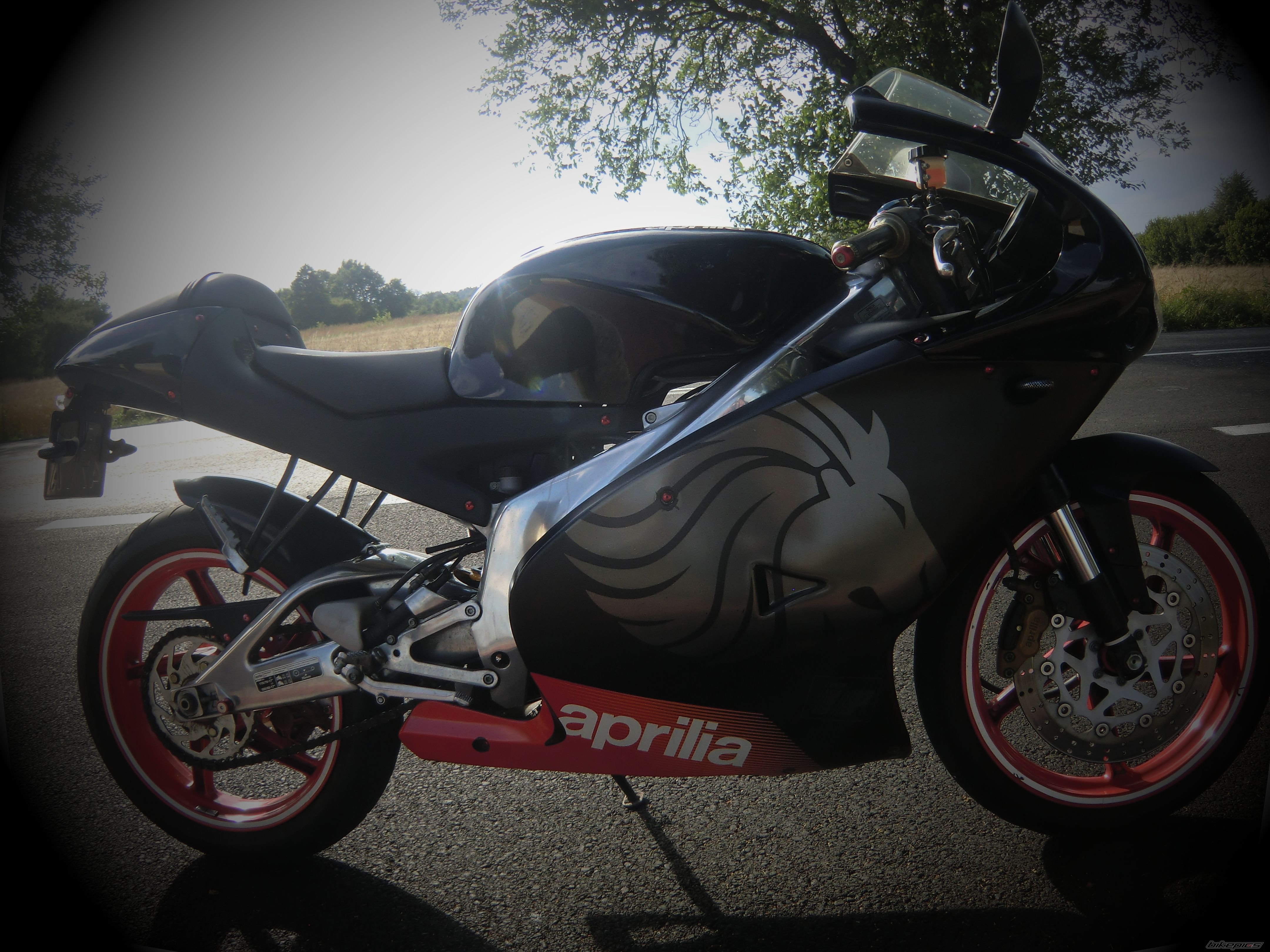 2004 APRILIA RS 125 | Picture 2442073 motorcycle photo