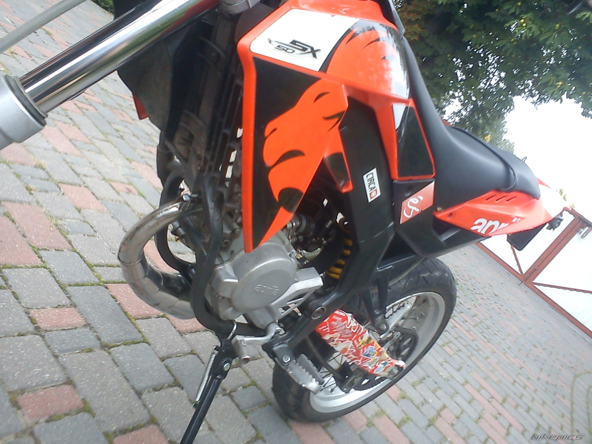 2006 APRILIA SX 50 | Picture 2442278 motorcycle photo
