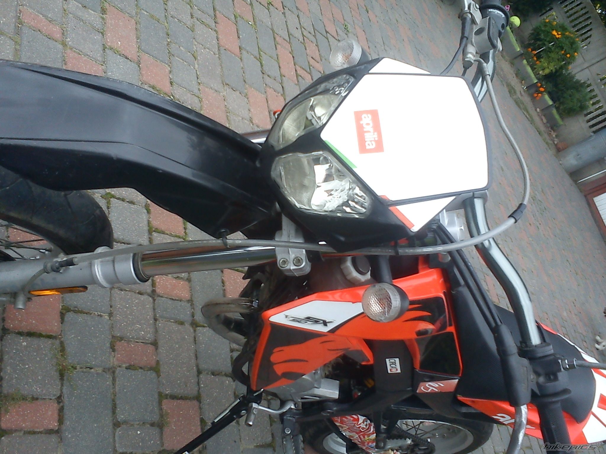2006 APRILIA SX 50 | Picture 2442279 motorcycle photo