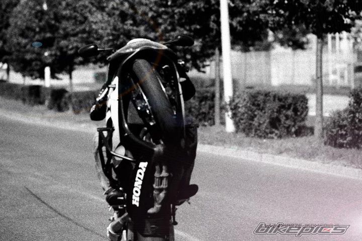 2001 HONDA CBR 900 | Picture 2442466 motorcycle photo
