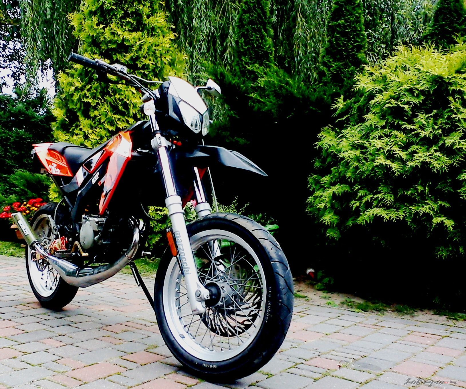 2006 APRILIA SX 50 | Picture 2442479 motorcycle photo