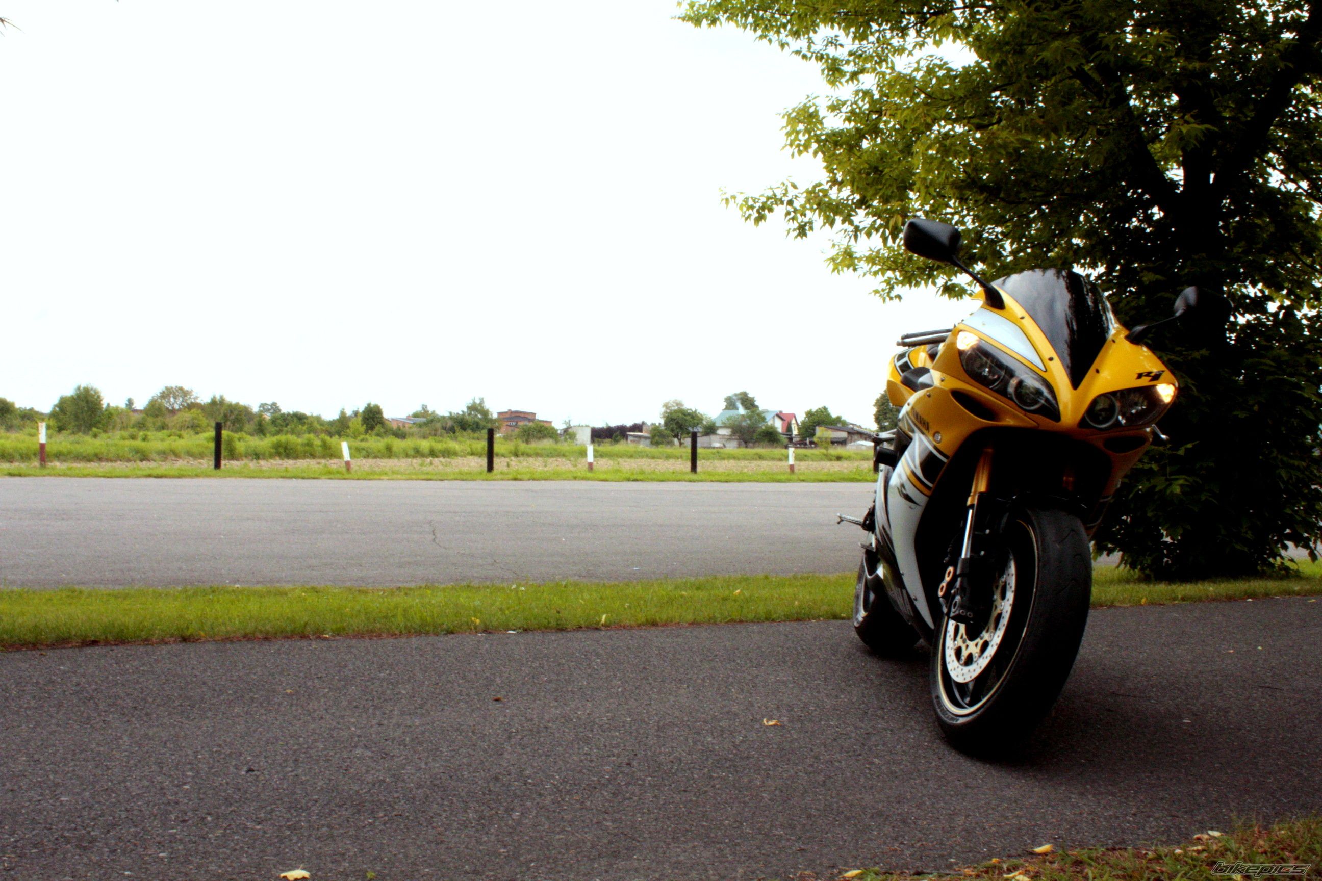 2006 YAMAHA YZF R1 | Picture 2442729 motorcycle photo