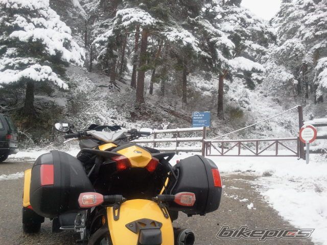 2008 CAN AM SPYDER RS | Picture 2442811 motorcycle photo