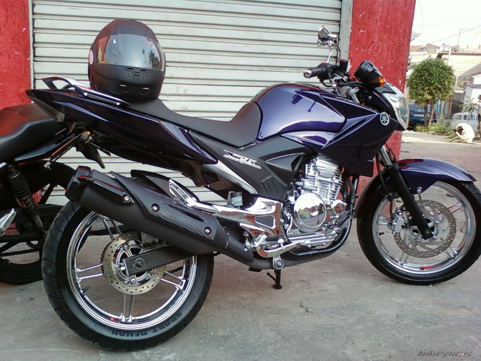 2012 YAMAHA YBR 250 | Picture 2442814 motorcycle photo