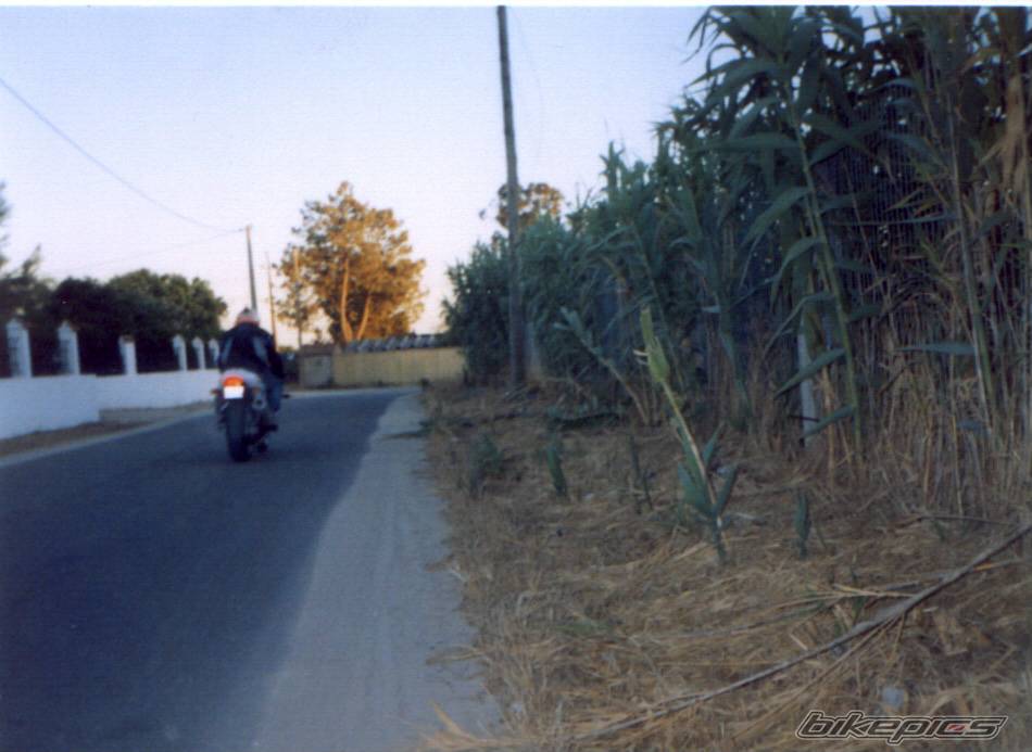 1998 SUZUKI GSX R 600 | Picture 244282 motorcycle photo