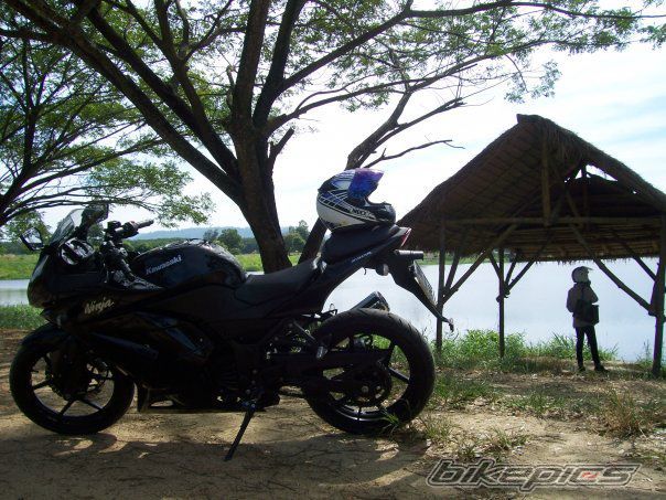 2009 HONDA CBR 600 RR | Picture 2443153 motorcycle photo