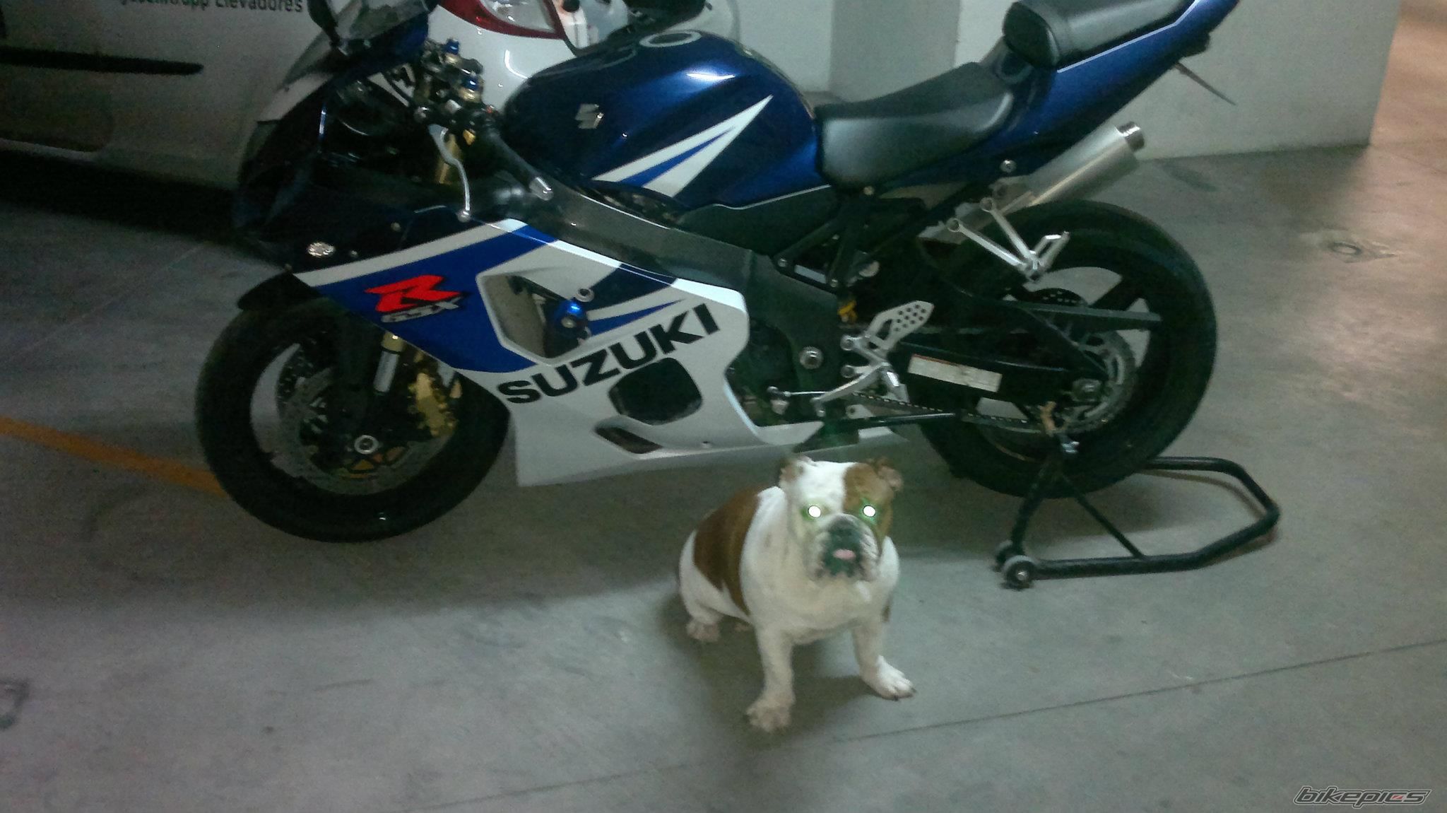 2005 SUZUKI GSX R 750 | Picture 2443224 motorcycle photo