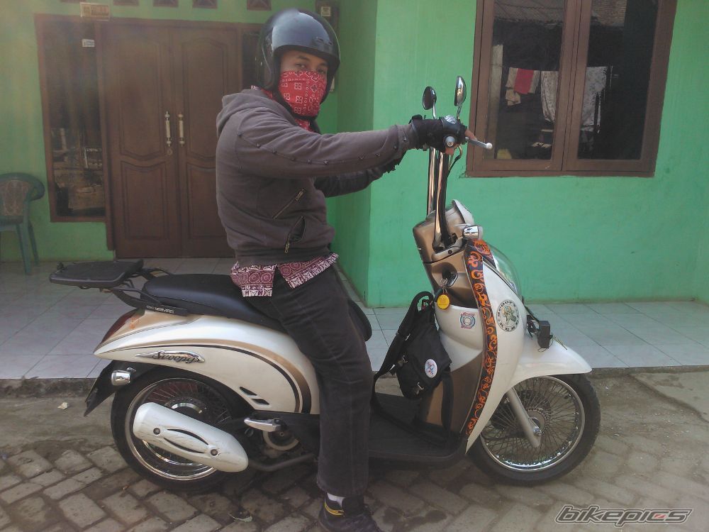 2011 HONDA SCOOPY I | Picture 2443290 motorcycle photo