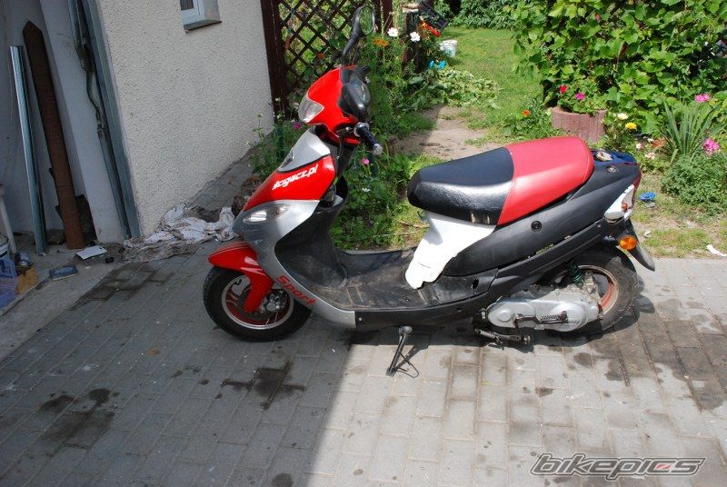 2009 KINGWAY COLIBER | Picture 2443458 motorcycle photo