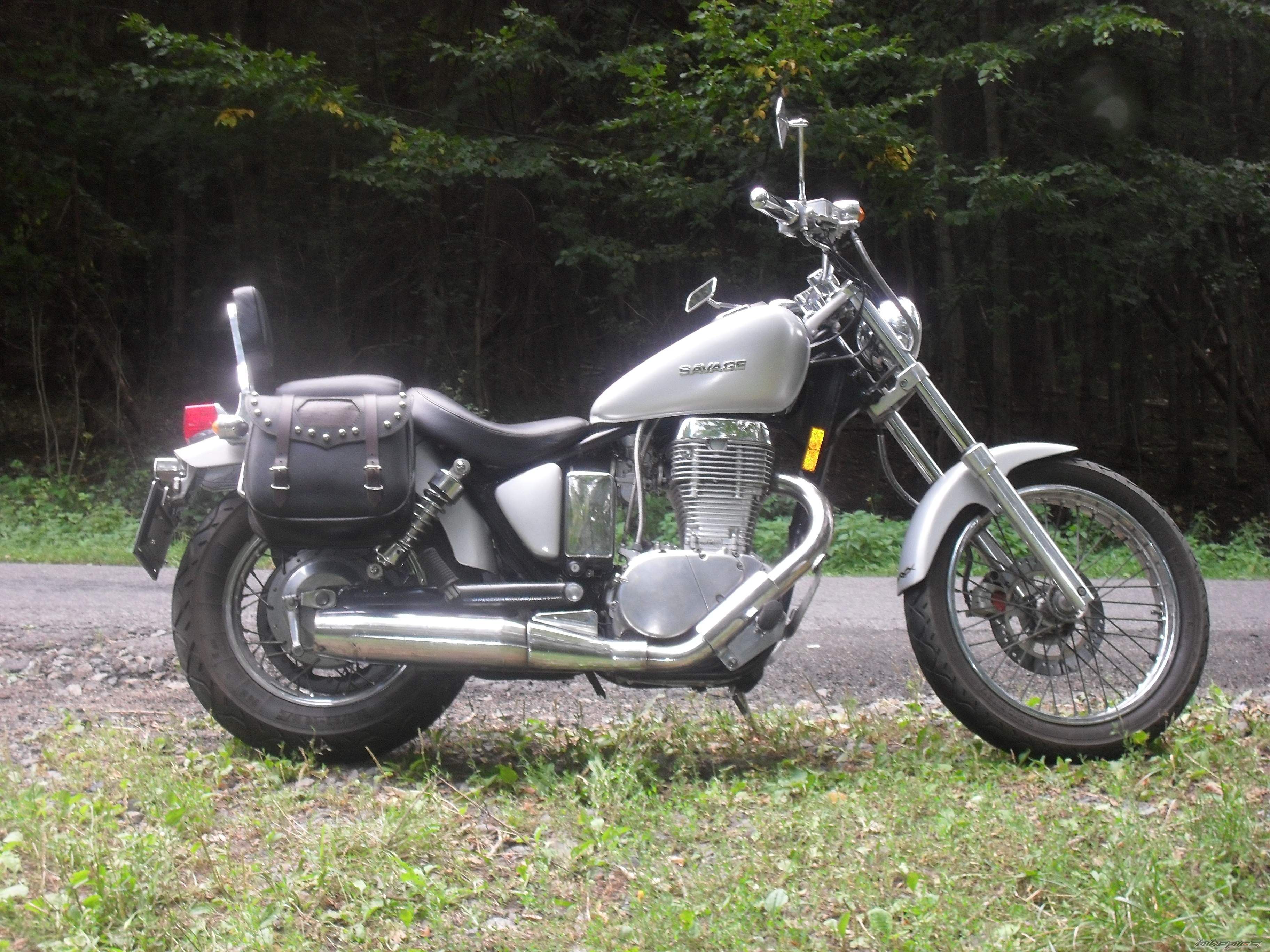1986 SUZUKI SAVAGE | Picture 2443647 motorcycle photo