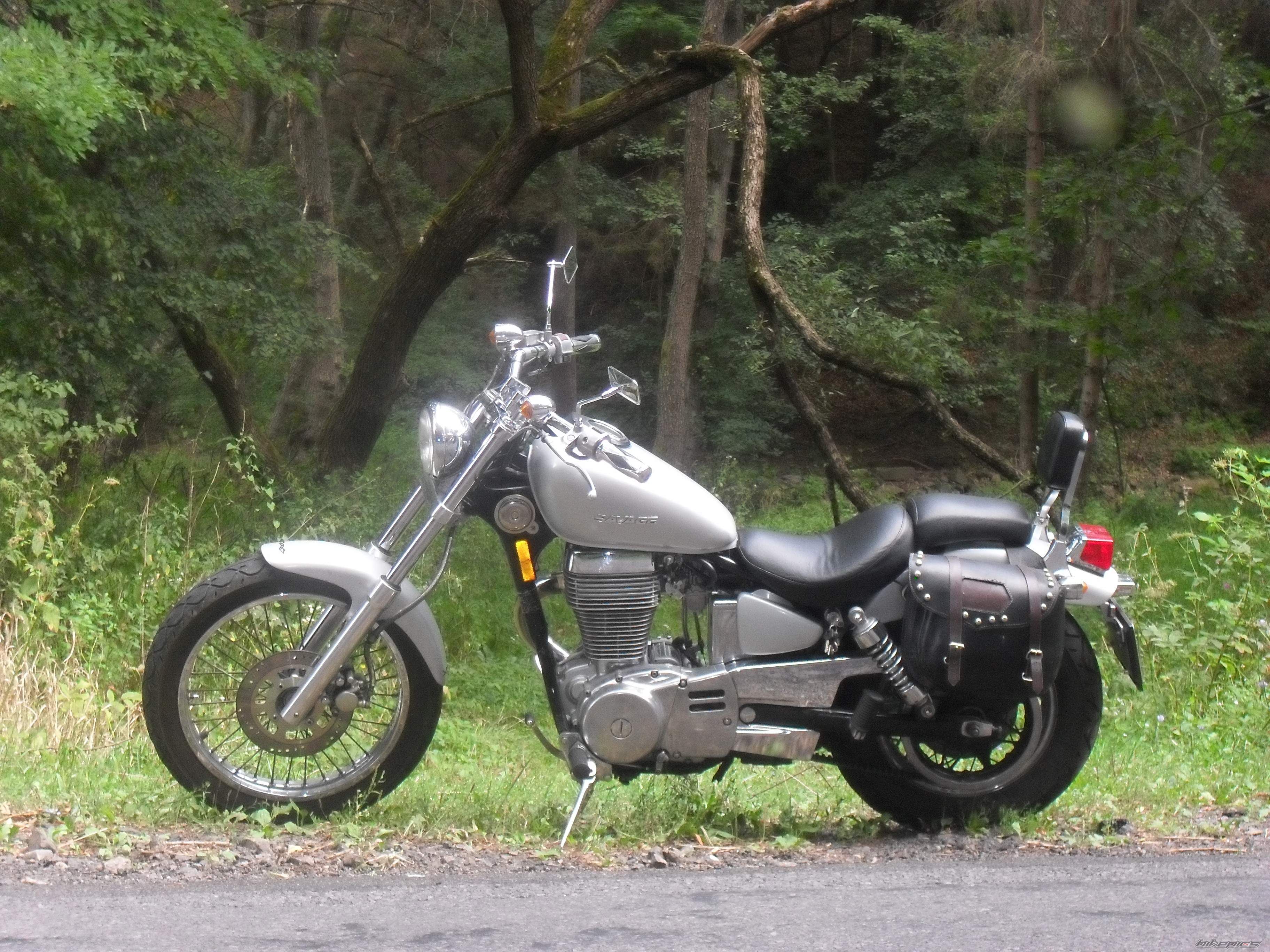 1986 SUZUKI SAVAGE | Picture 2443649 motorcycle photo