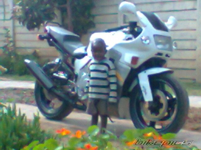 1991 HONDA CBR 600 | Picture 2443815 motorcycle photo