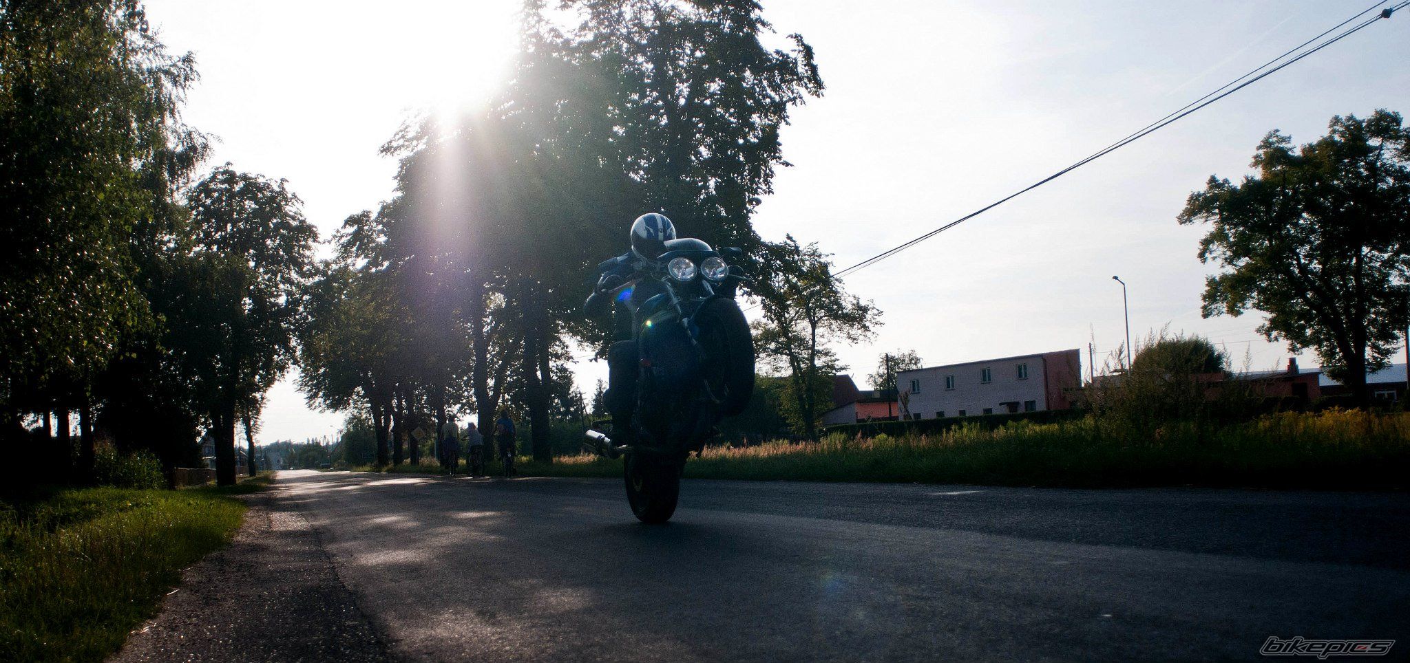 2002 TRIUMPH SPEED TRIPLE | Picture 2444004 motorcycle photo