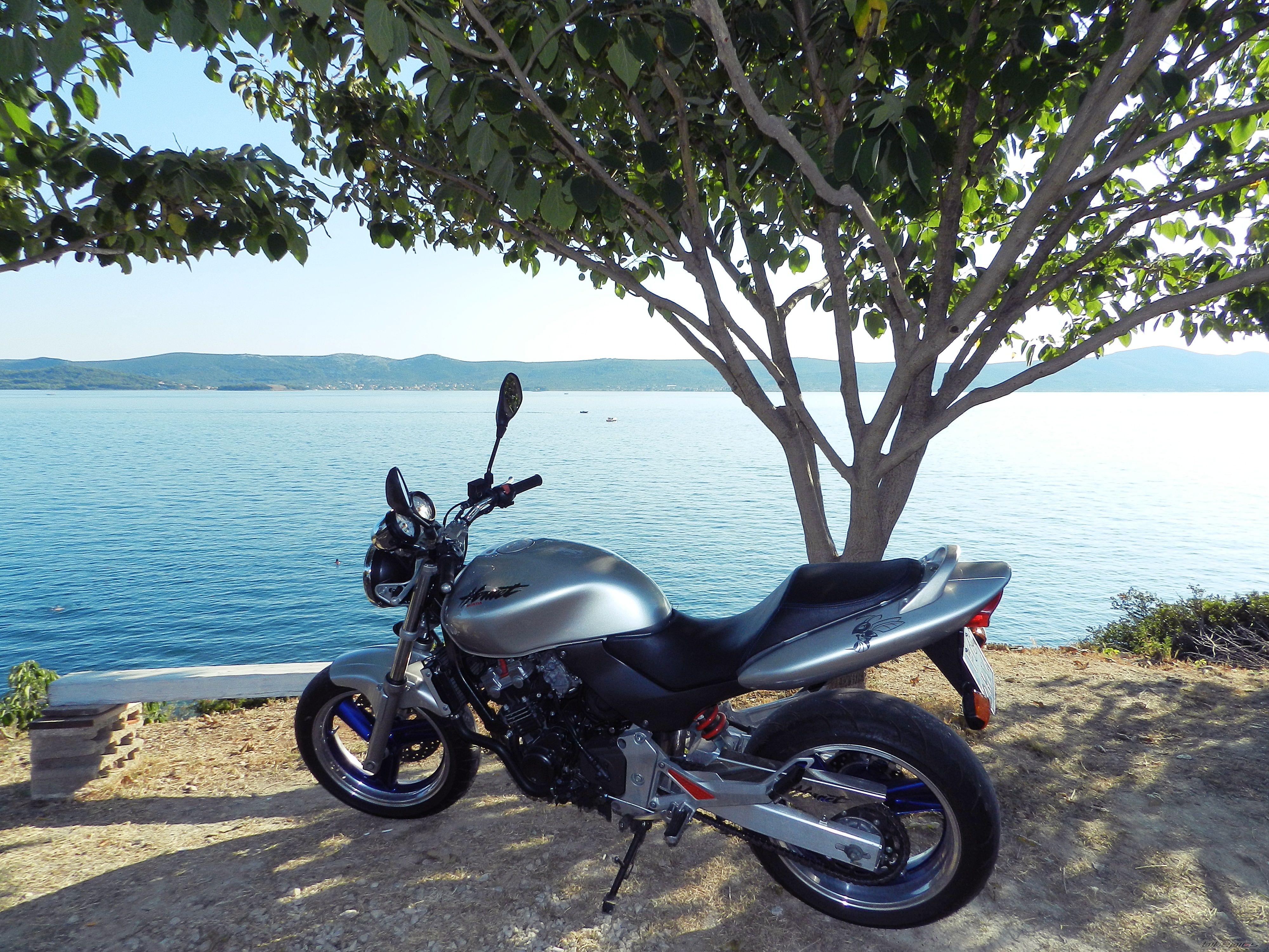 1997 HONDA HONDA 250CC | Picture 2445811 motorcycle photo