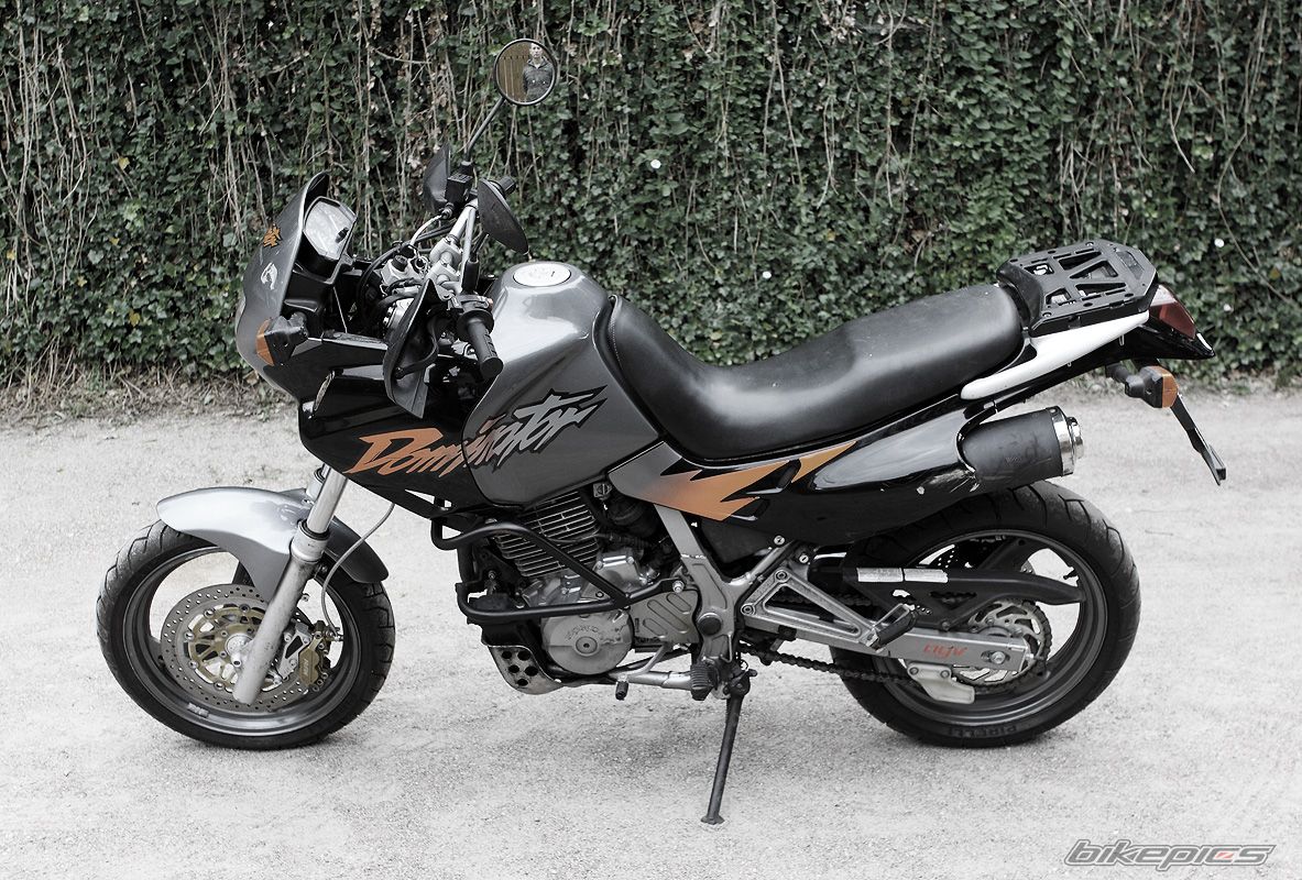 1996 HONDA NX 650 DOMINATOR | Picture 2446191 motorcycle photo