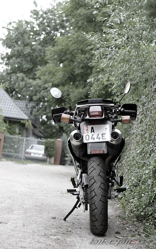 1996 HONDA NX 650 DOMINATOR | Picture 2446193 motorcycle photo