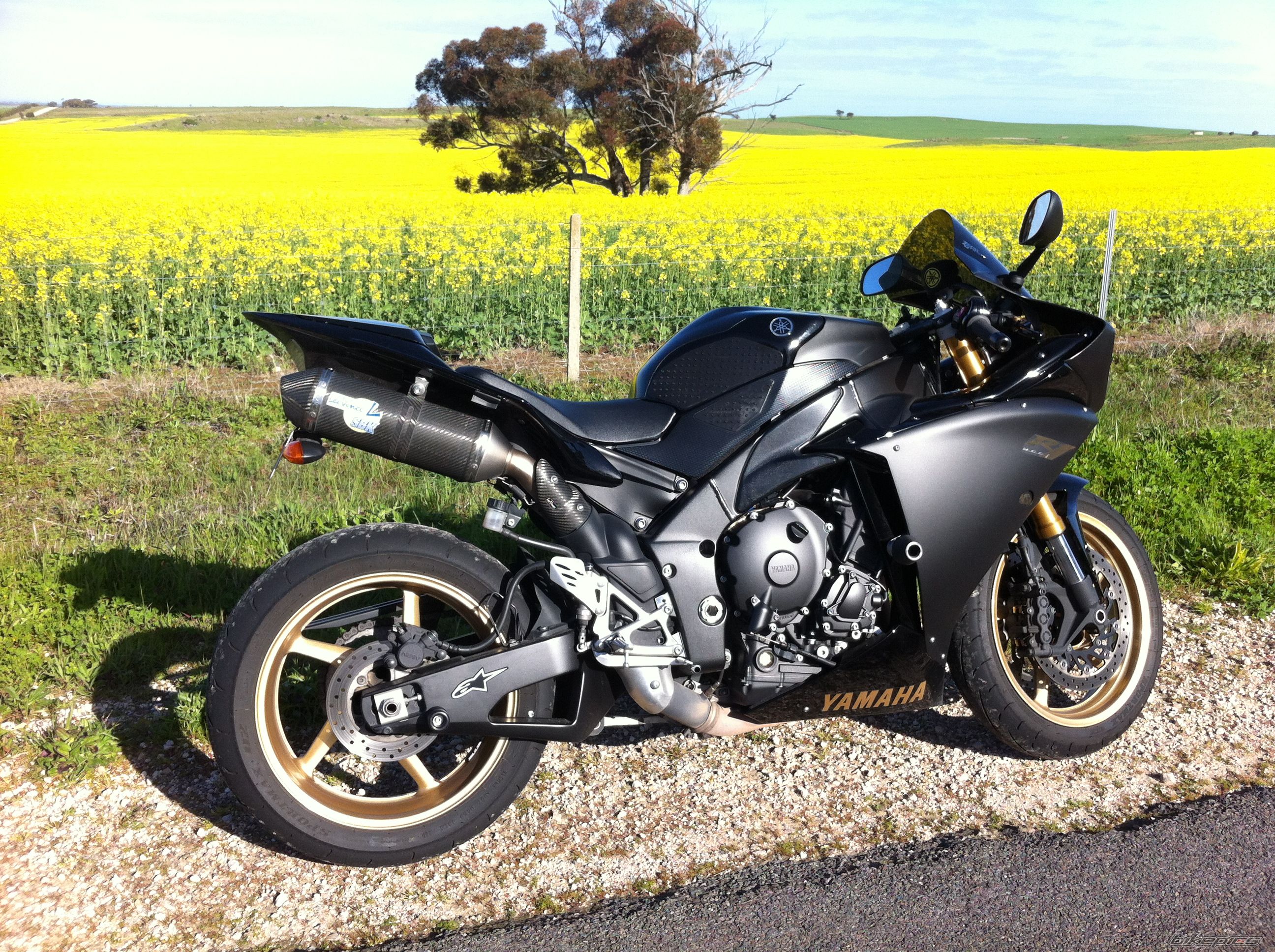 2009 YAMAHA YZF R1 | Picture 2446759 motorcycle photo