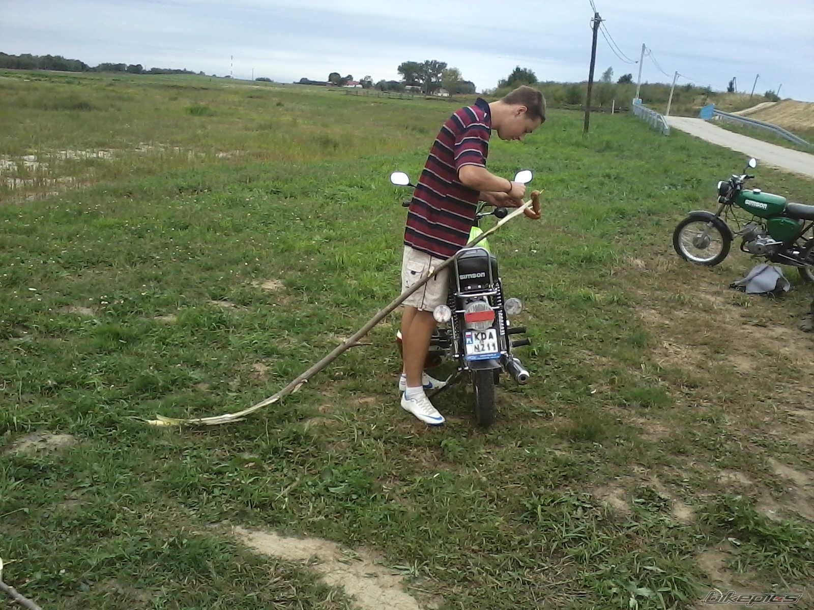    | Picture 2447030 motorcycle photo