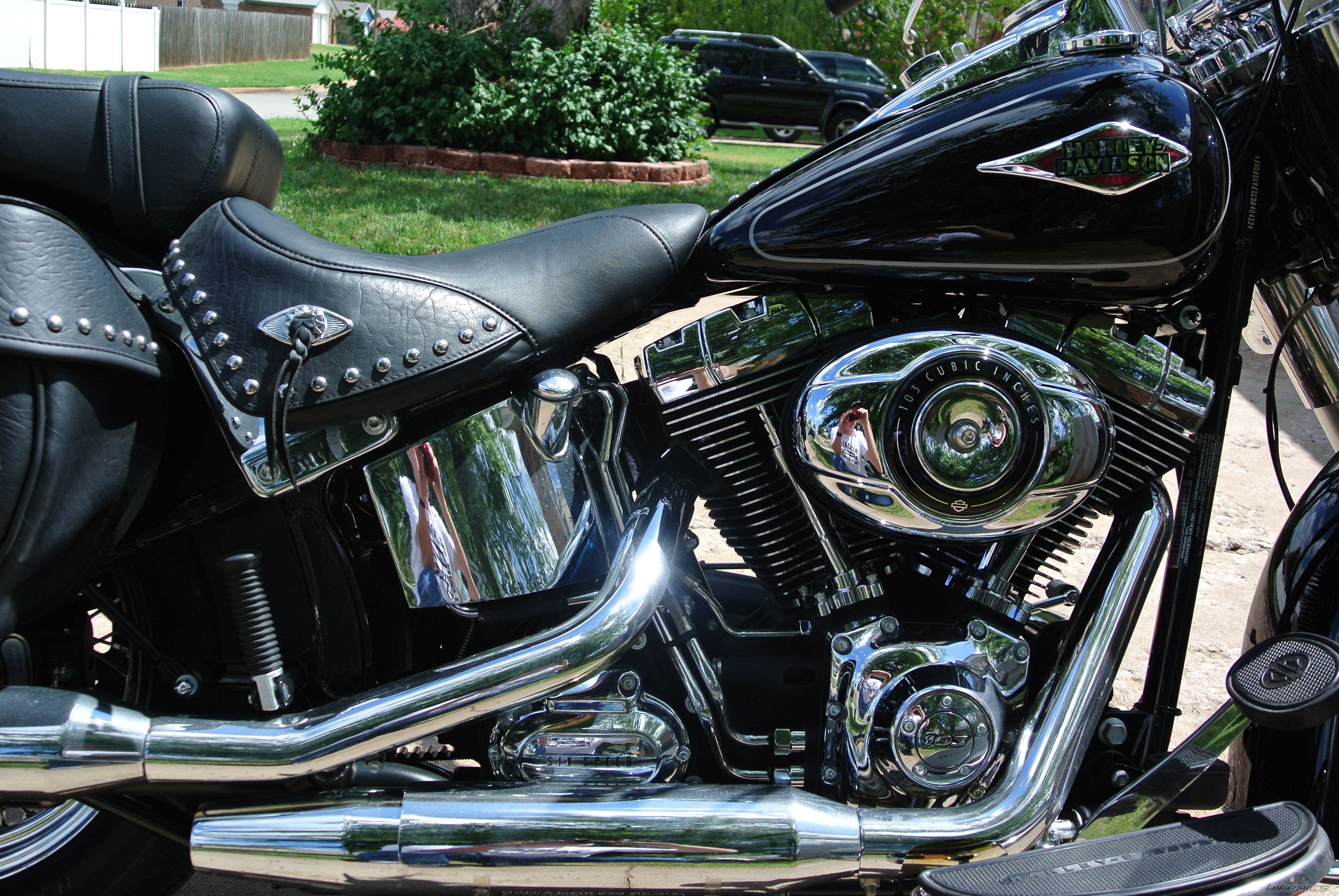 2012 HARLEY DAVIDSON FLSTC | Picture 2447107 motorcycle photo