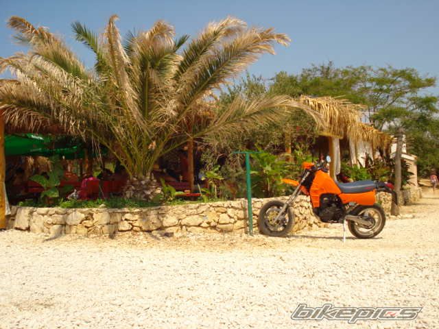 1988 KAWASAKI KLR 600 | Picture 2448394 motorcycle photo