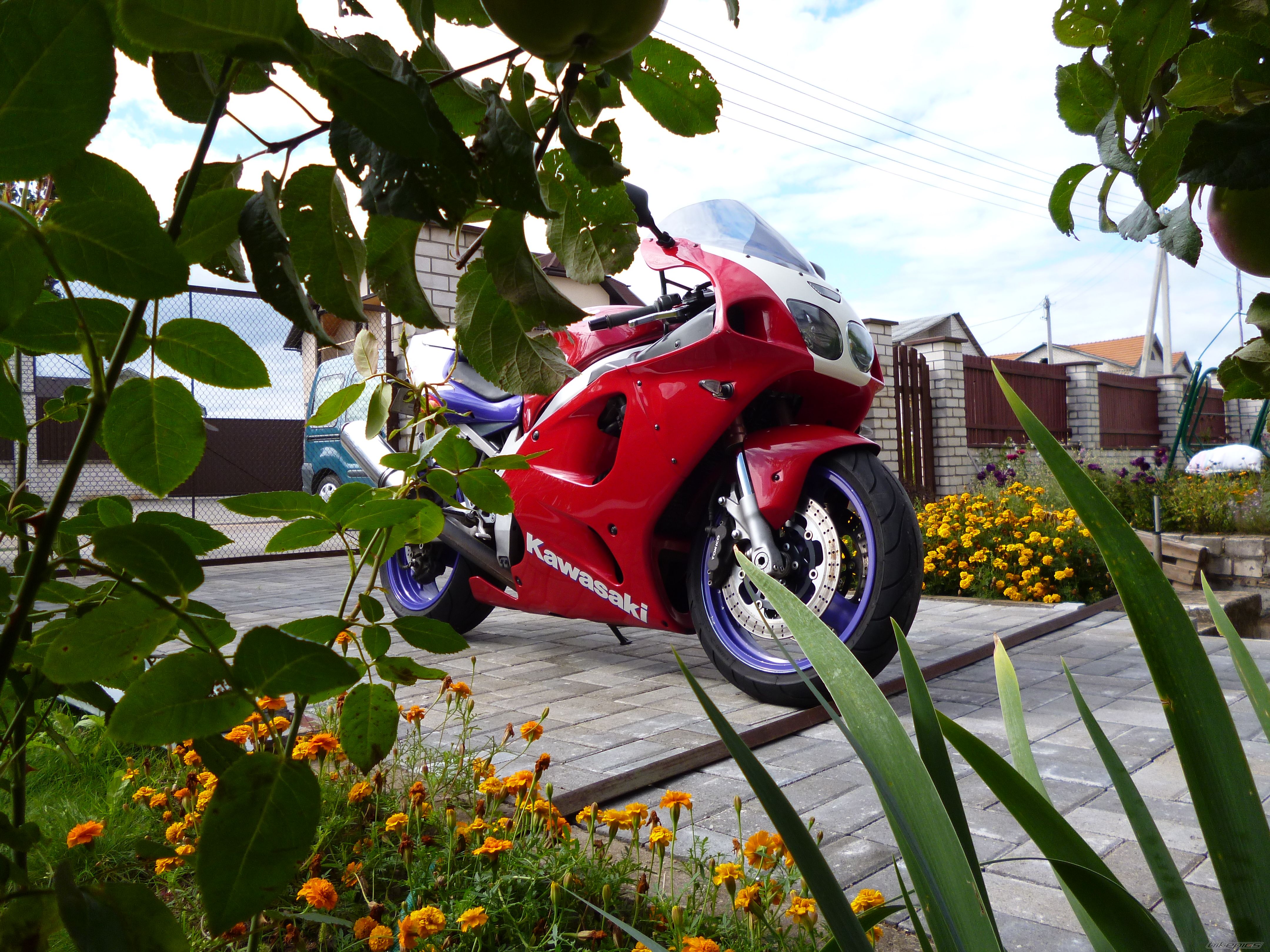 1996 KAWASAKI ZX 7R | Picture 2449085 motorcycle photo