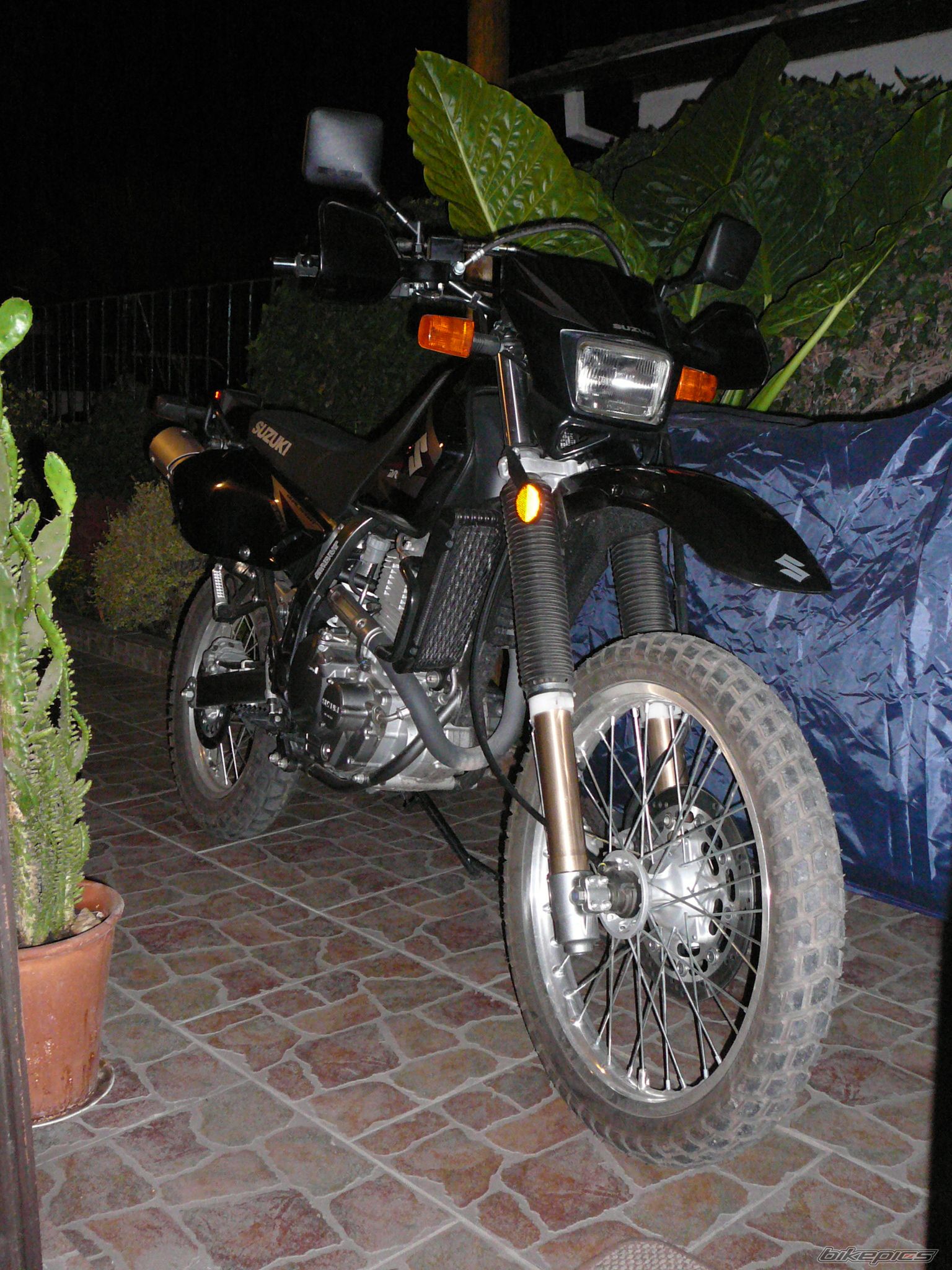 2011 SUZUKI DR 650 | Picture 2449986 motorcycle photo