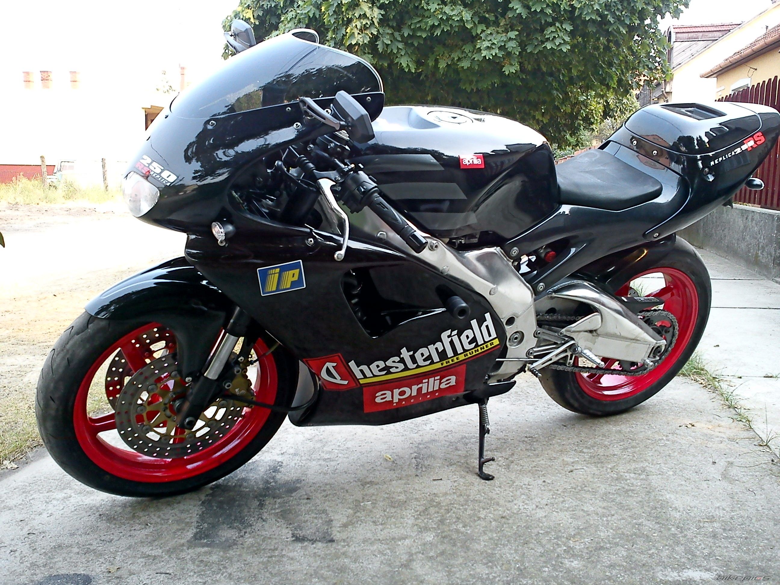 1995 APRILIA RS 250 | Picture 2450660 motorcycle photo