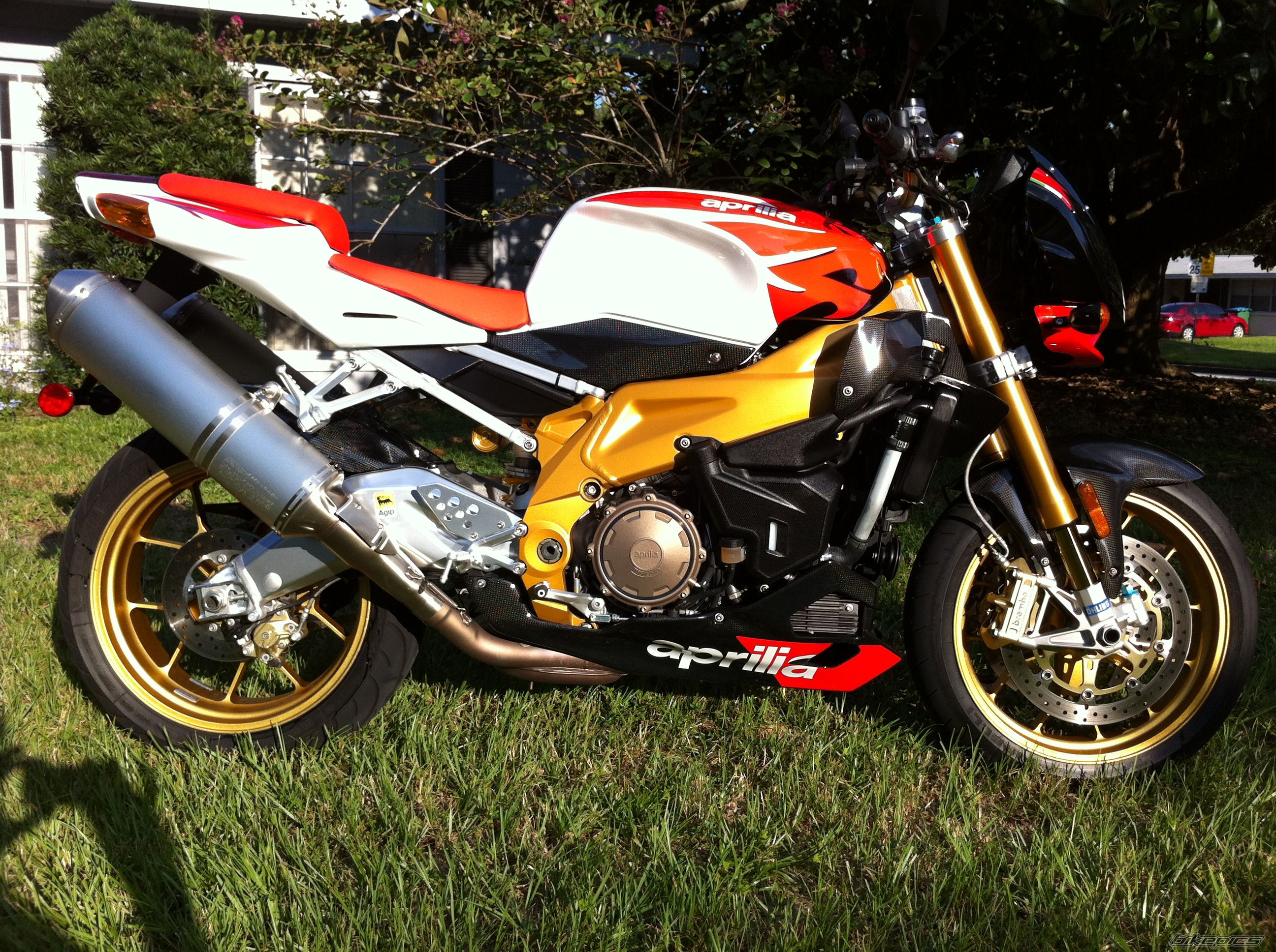 2009 APRILIA TUONO FACTORY | Picture 2451198 motorcycle photo