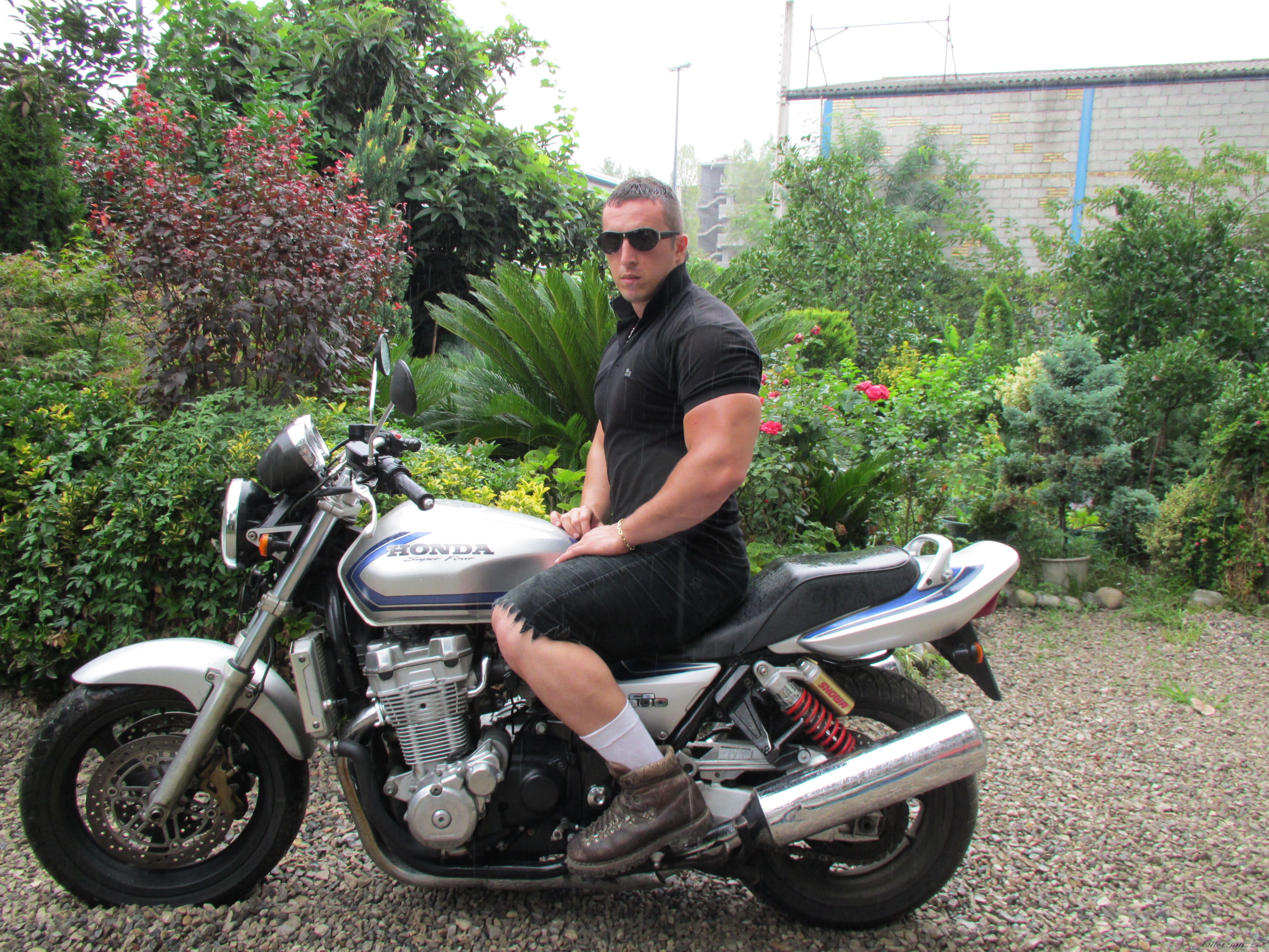 2012 HONDA CB1300 | Picture 2451407 motorcycle photo