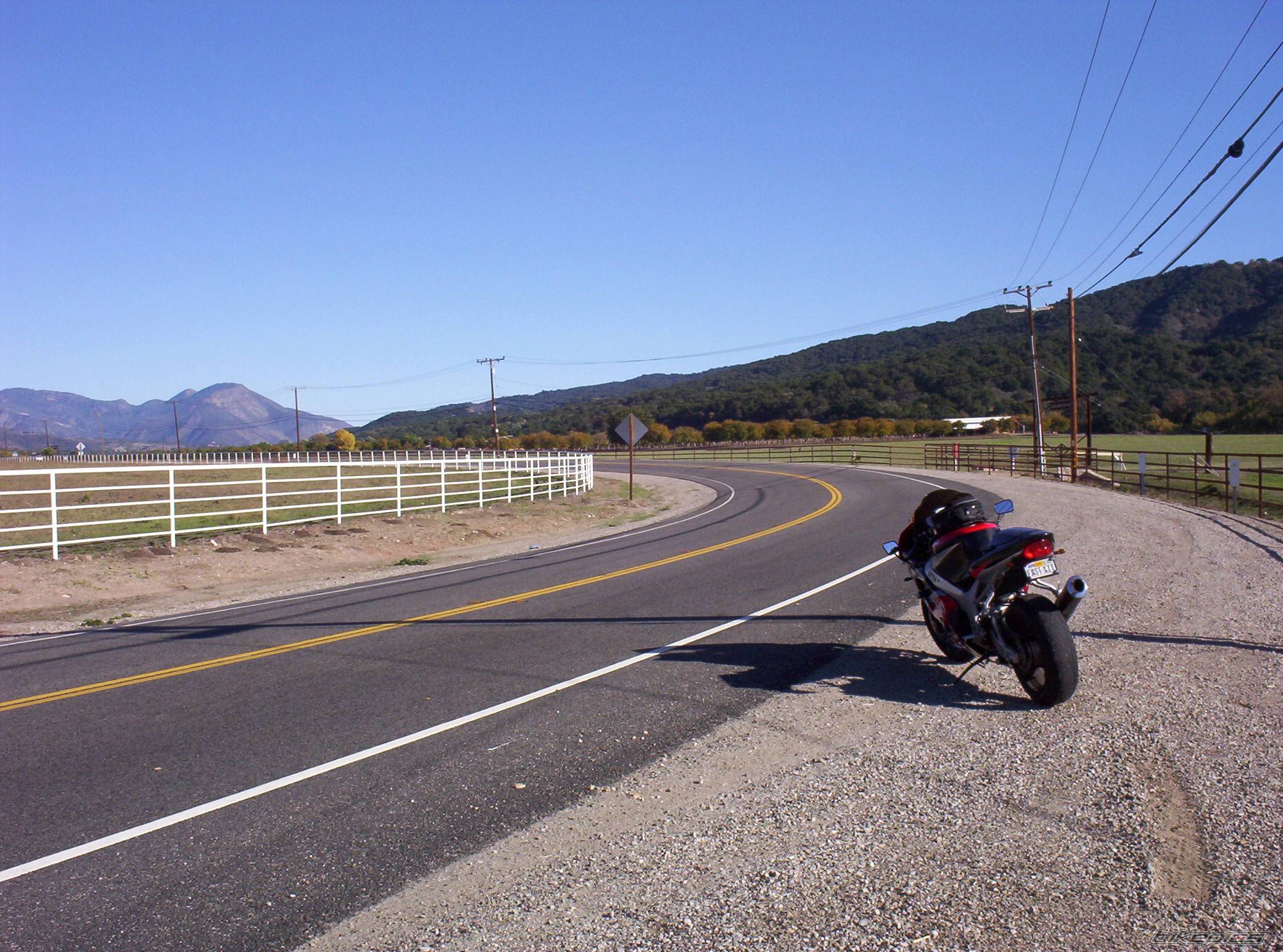 2002 SUZUKI GSX R 1000 | Picture 245156 motorcycle photo