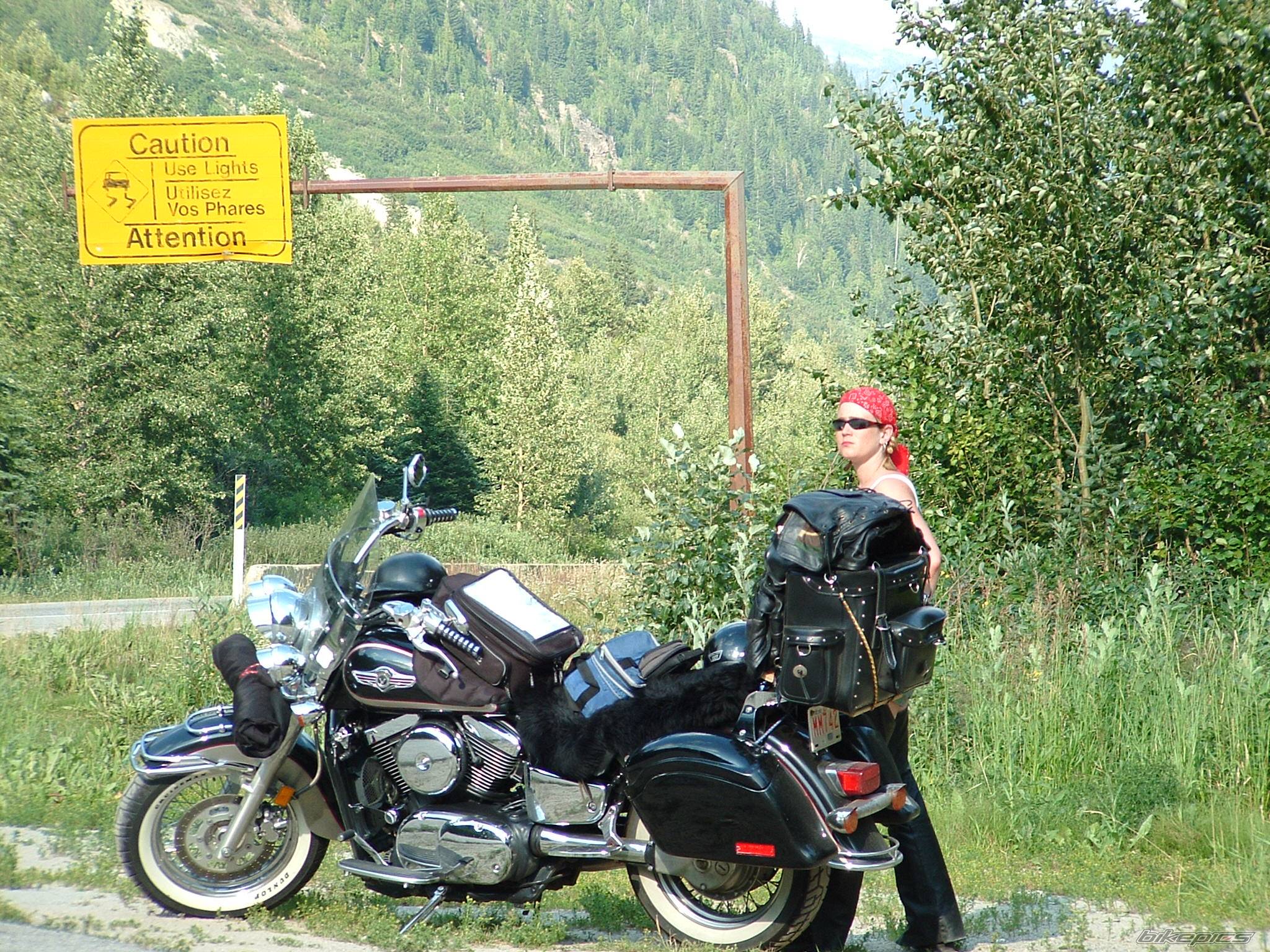 2001 KAWASAKI VULCAN 1500 | Picture 245157 motorcycle photo