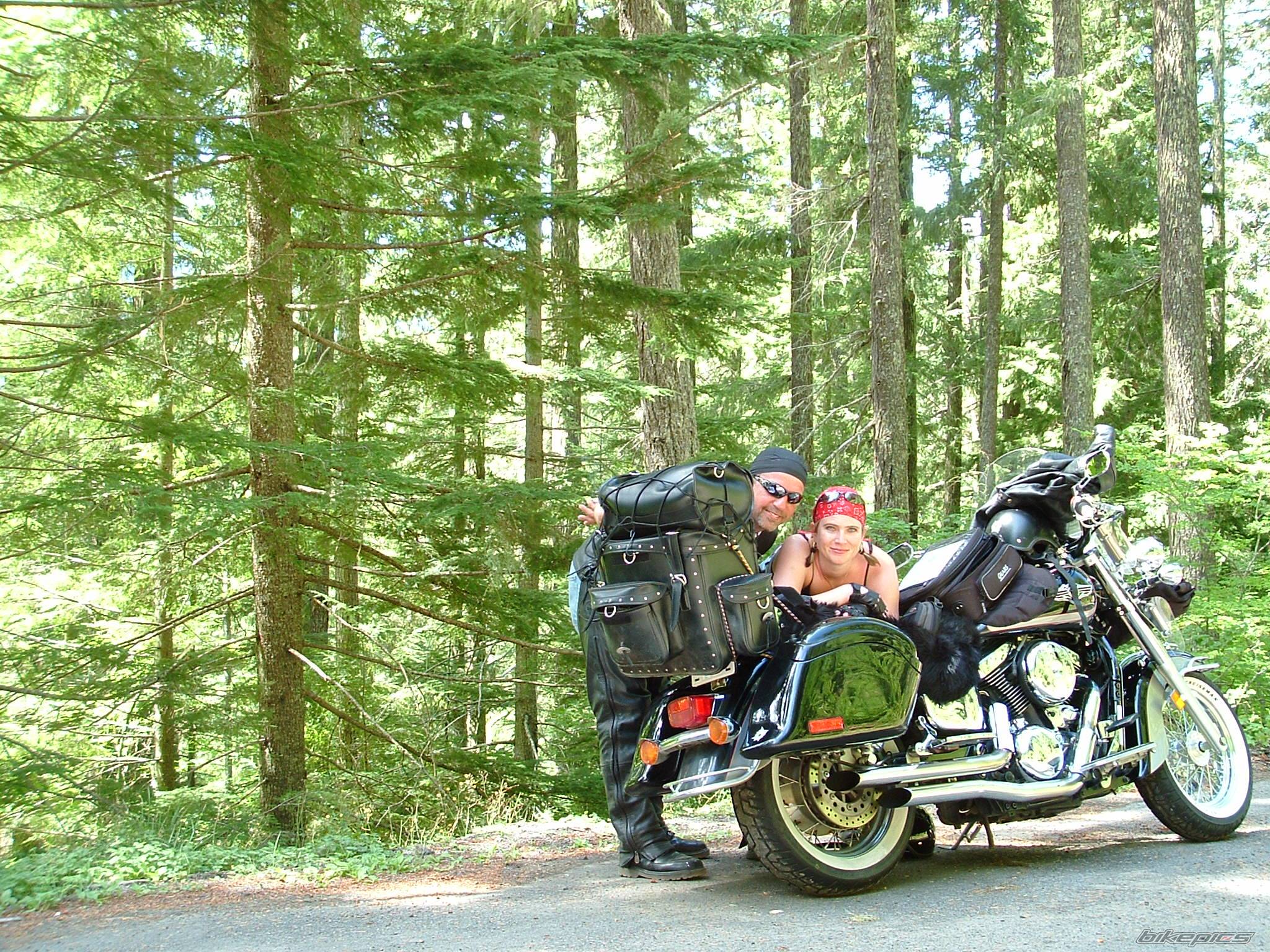 2001 KAWASAKI VULCAN 1500 | Picture 245159 motorcycle photo