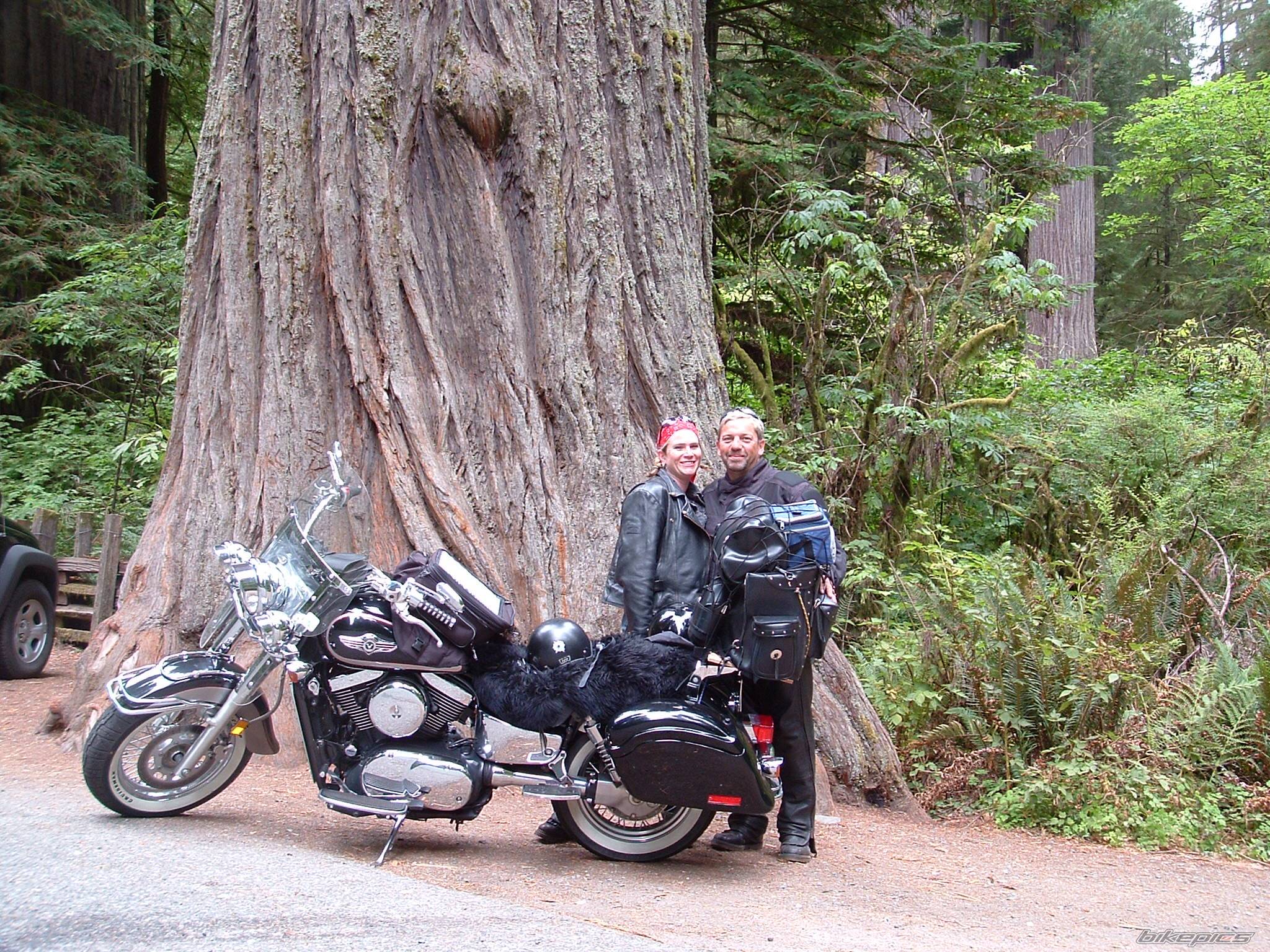 2001 KAWASAKI VULCAN 1500 | Picture 245162 motorcycle photo