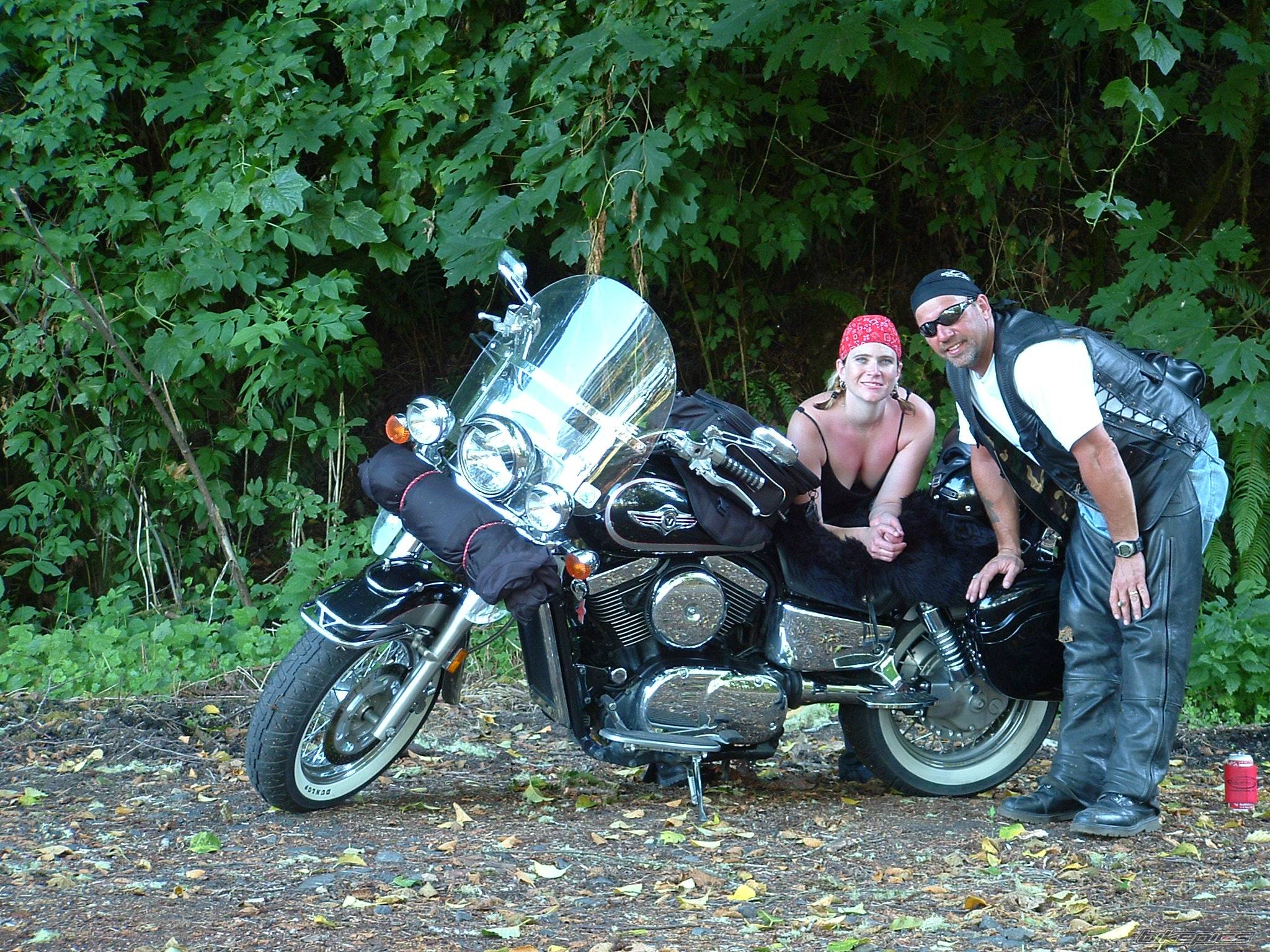 2001 KAWASAKI VULCAN 1500 | Picture 245174 motorcycle photo