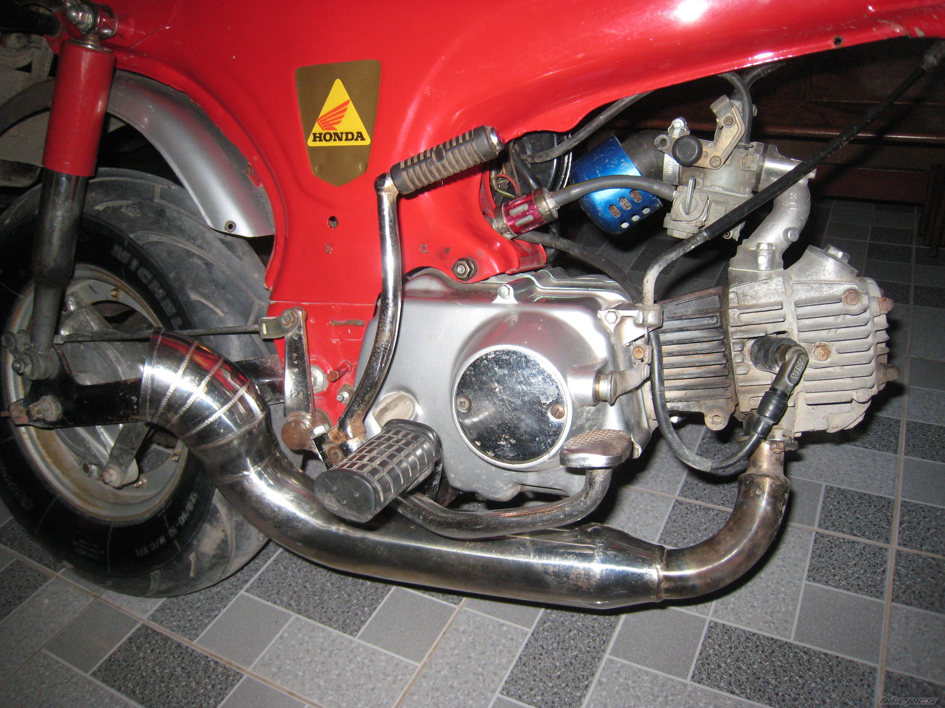 2001 HONDA NOVA DASH 125 | Picture 2451984 motorcycle photo