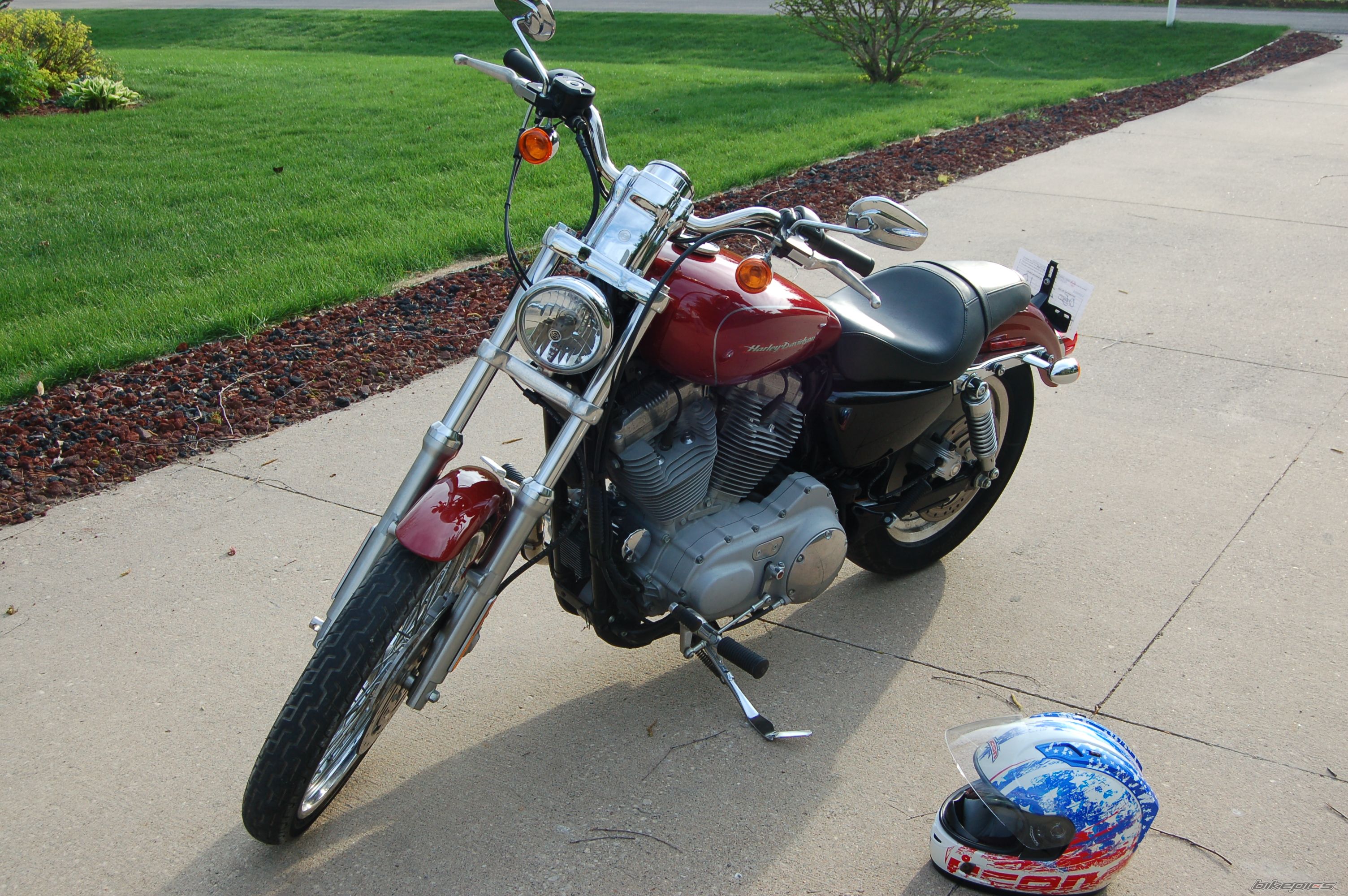 2007 HARLEY DAVIDSON XL 883 CUSTOM | Picture 2452218 motorcycle photo