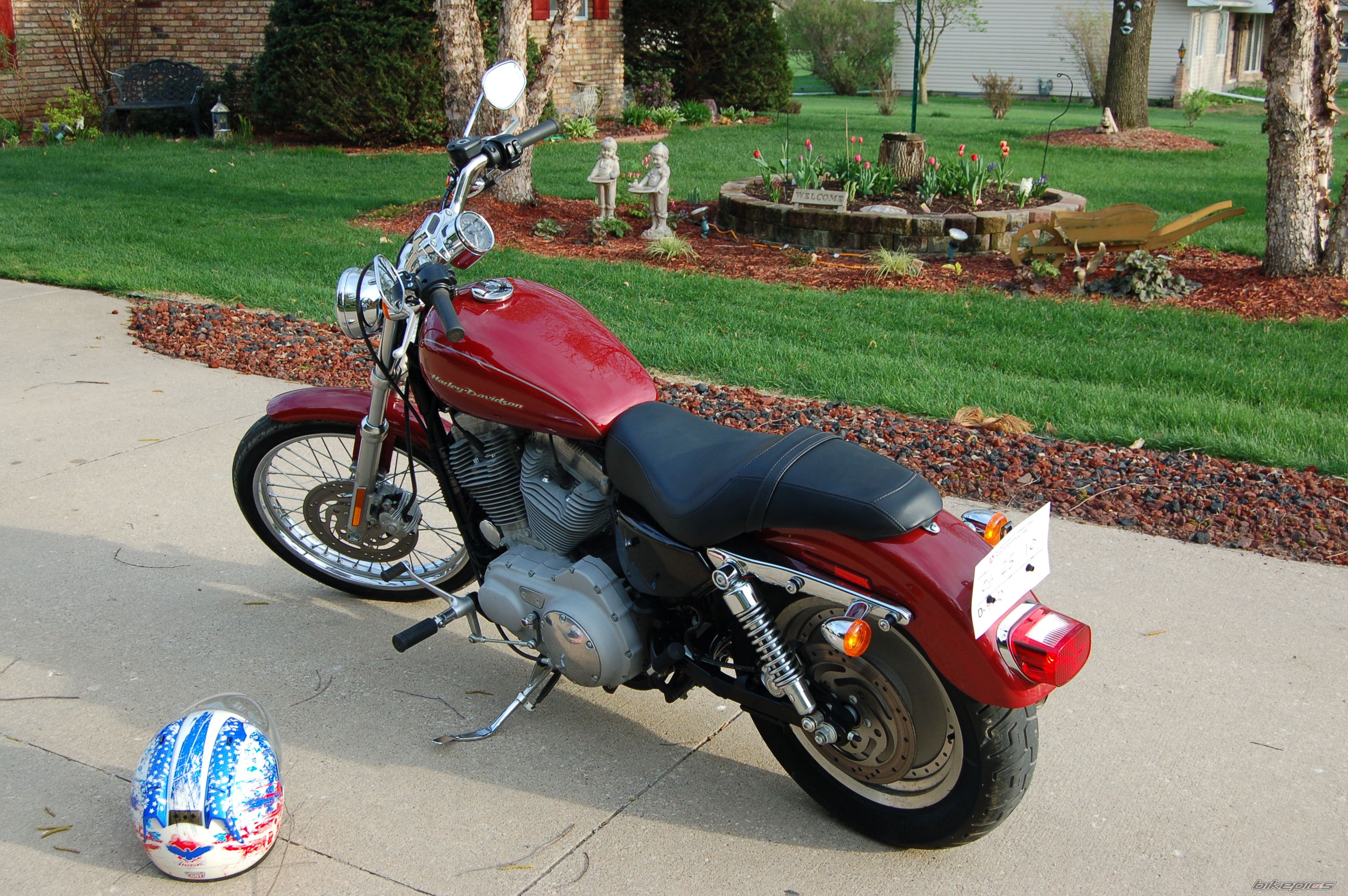 2007 HARLEY DAVIDSON XL 883 CUSTOM | Picture 2452221 motorcycle photo