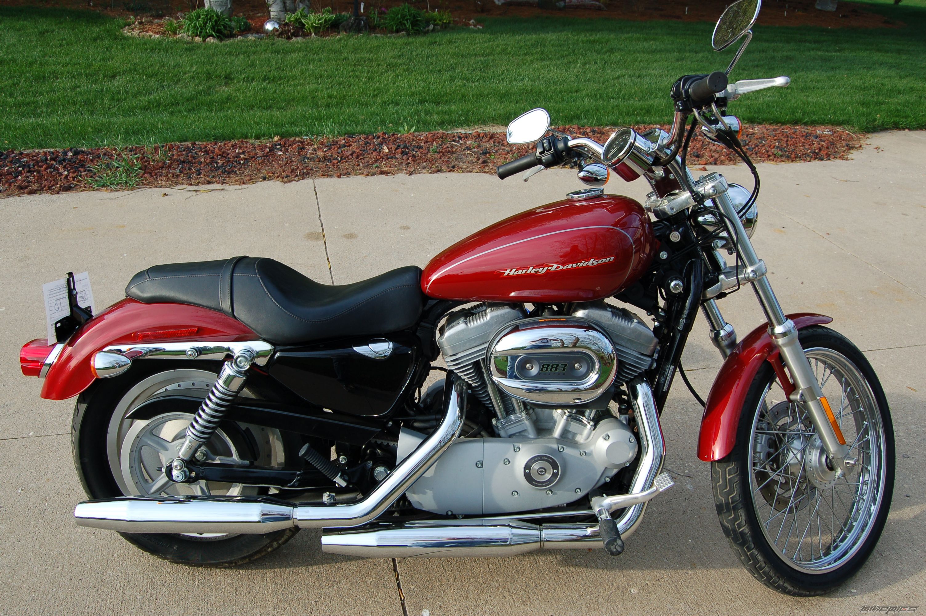 2007 HARLEY DAVIDSON XL 883 CUSTOM | Picture 2452233 motorcycle photo
