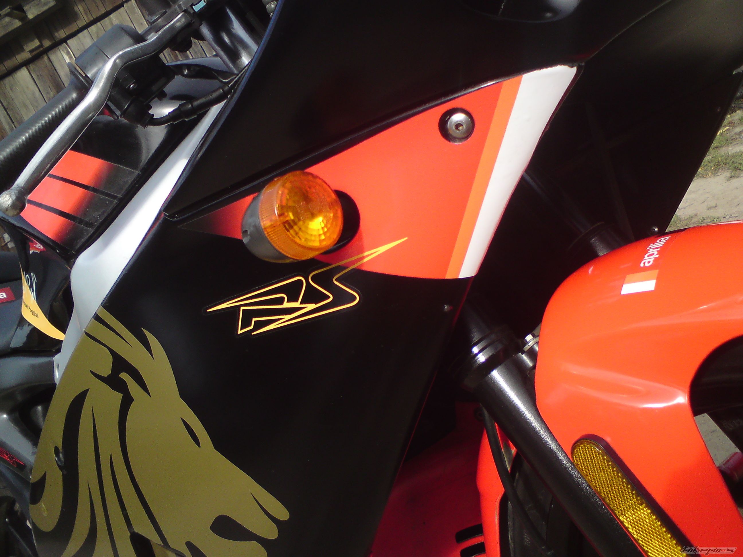 2001 APRILIA RS50 | Picture 2452240 motorcycle photo