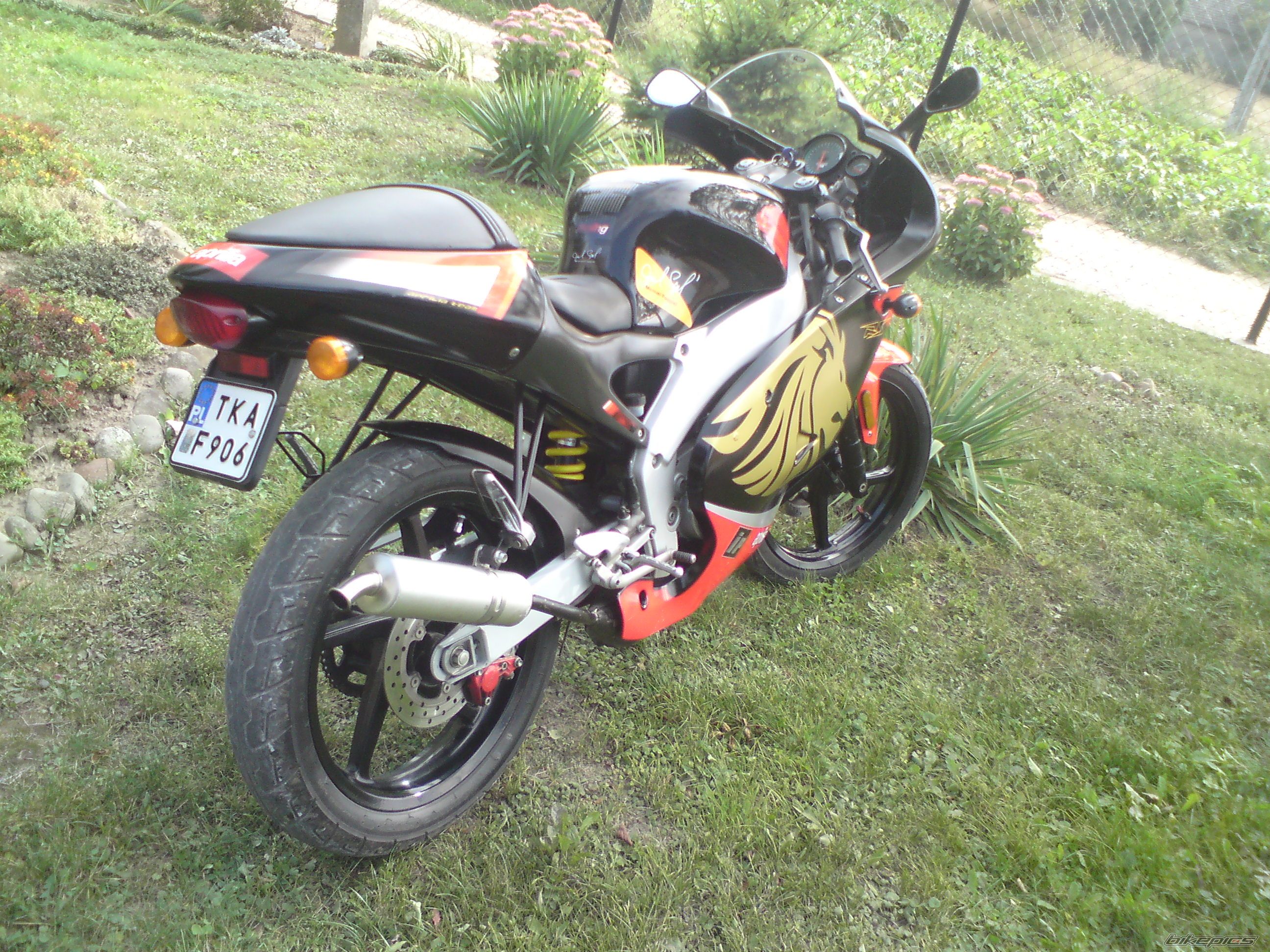 2001 APRILIA RS50 | Picture 2452242 motorcycle photo