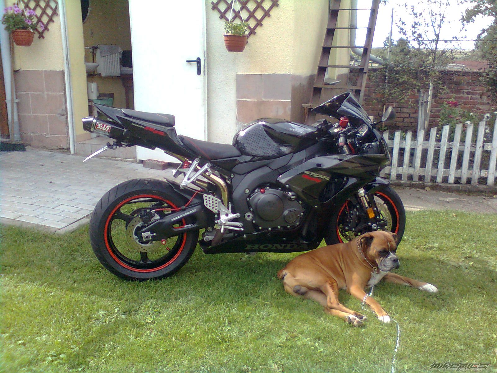 2452290 | Picture 2452290 motorcycle photo