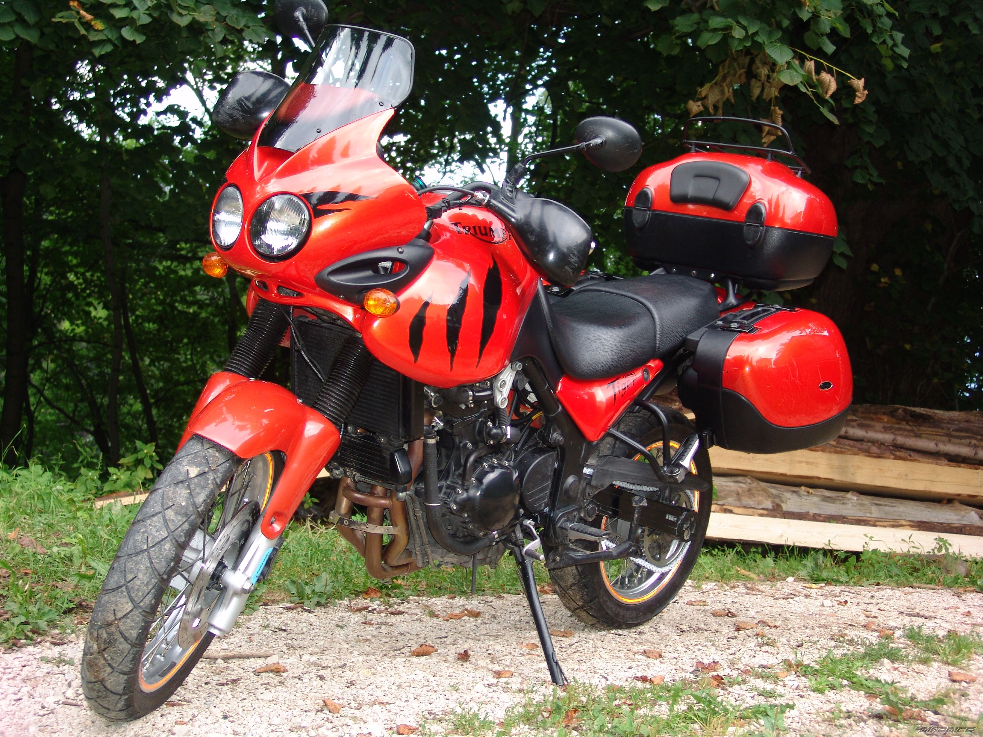 2003 TRIUMPH TIGER | Picture 2453038 motorcycle photo