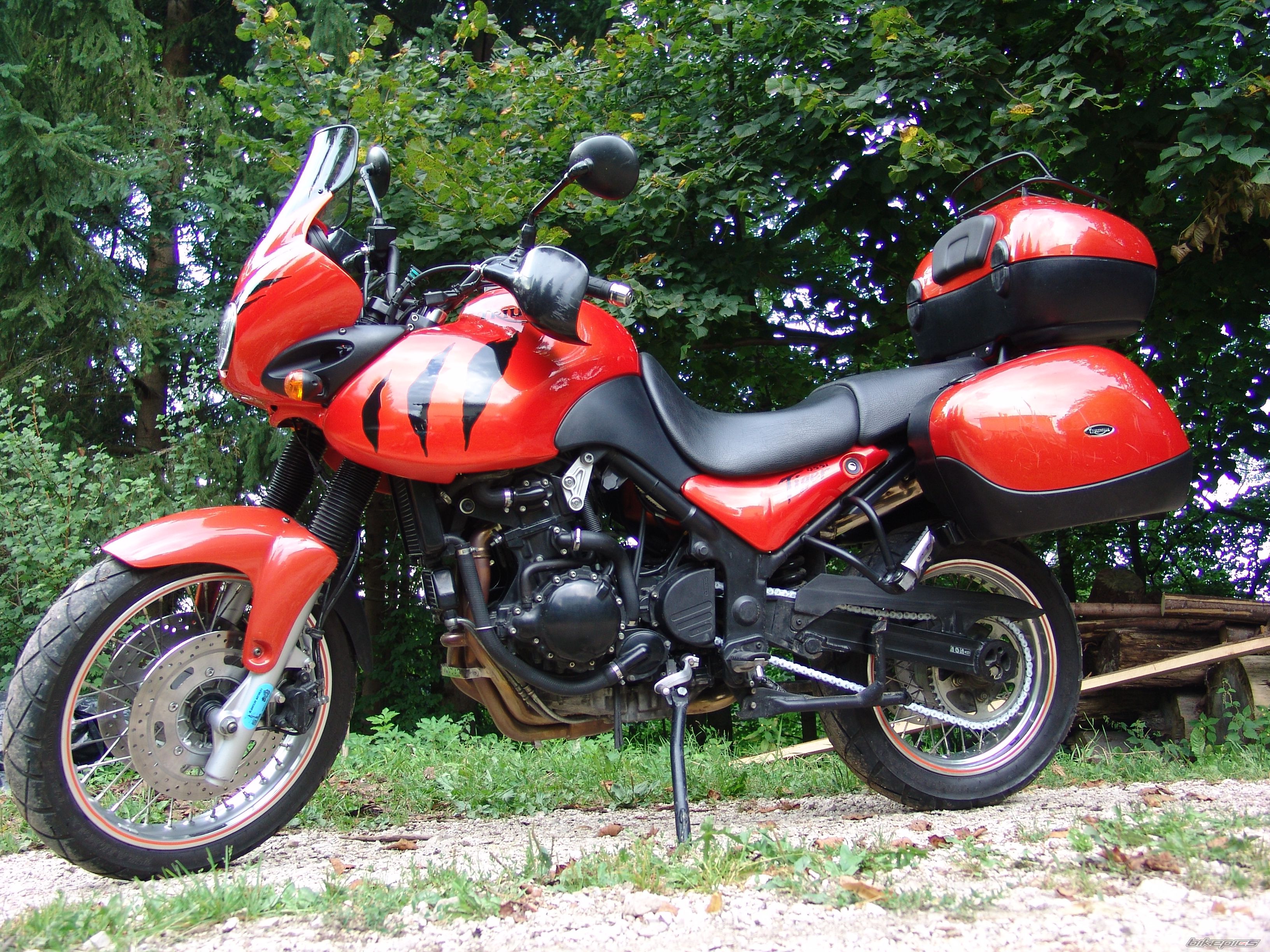 2003 TRIUMPH TIGER | Picture 2453039 motorcycle photo