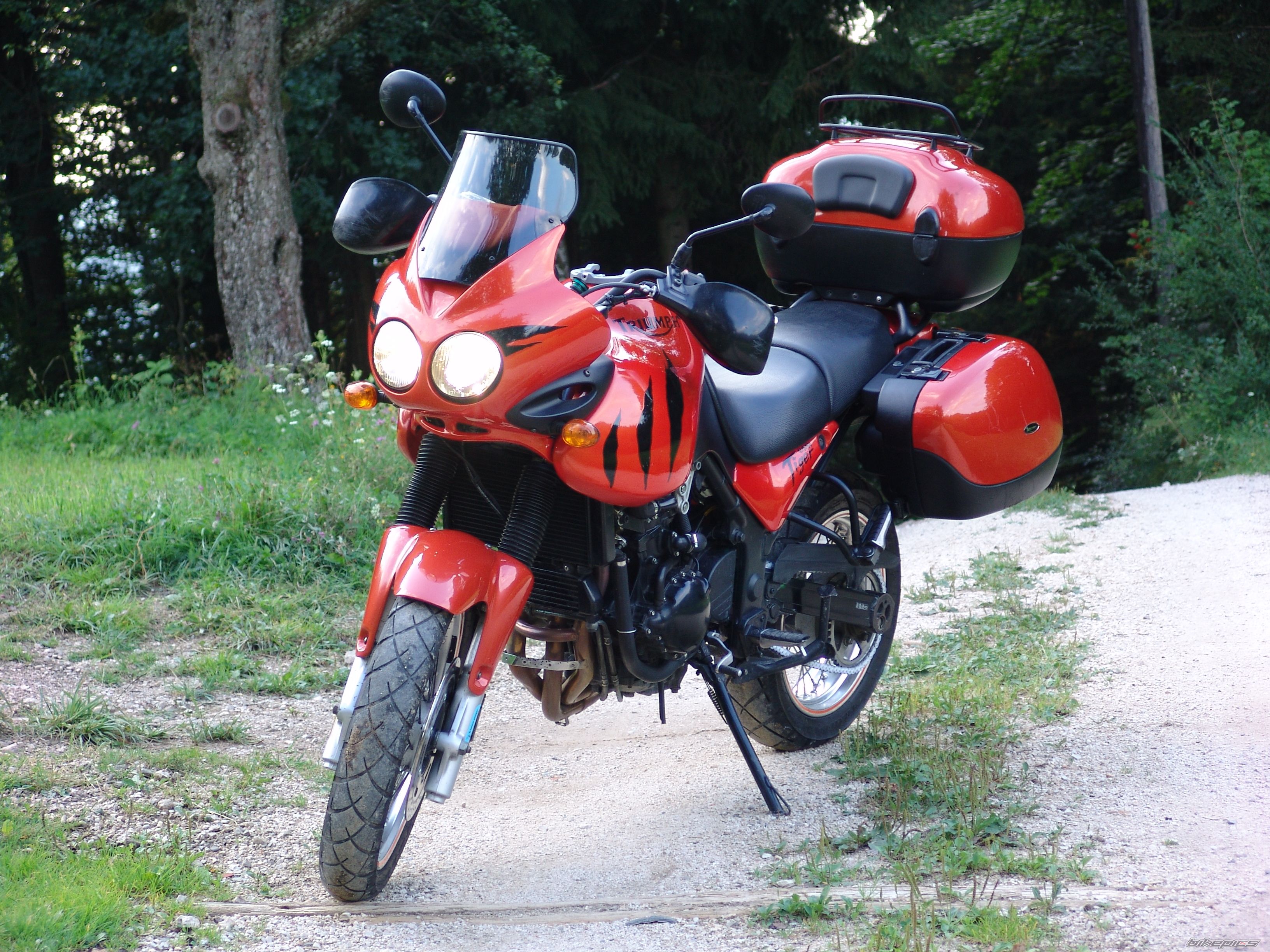 2003 TRIUMPH TIGER | Picture 2453045 motorcycle photo