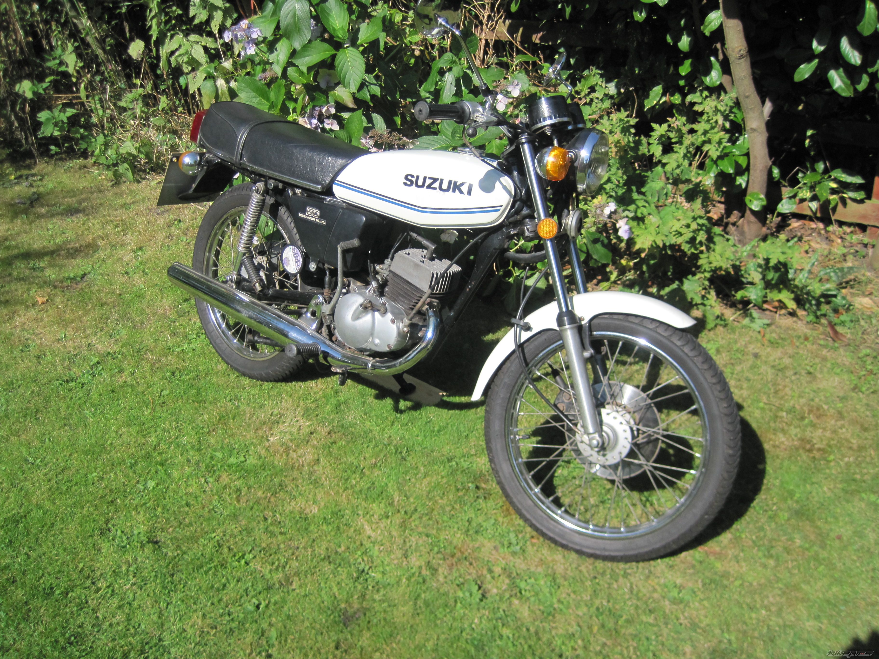 1979 SUZUKI GT 50 | Picture 2453162 motorcycle photo