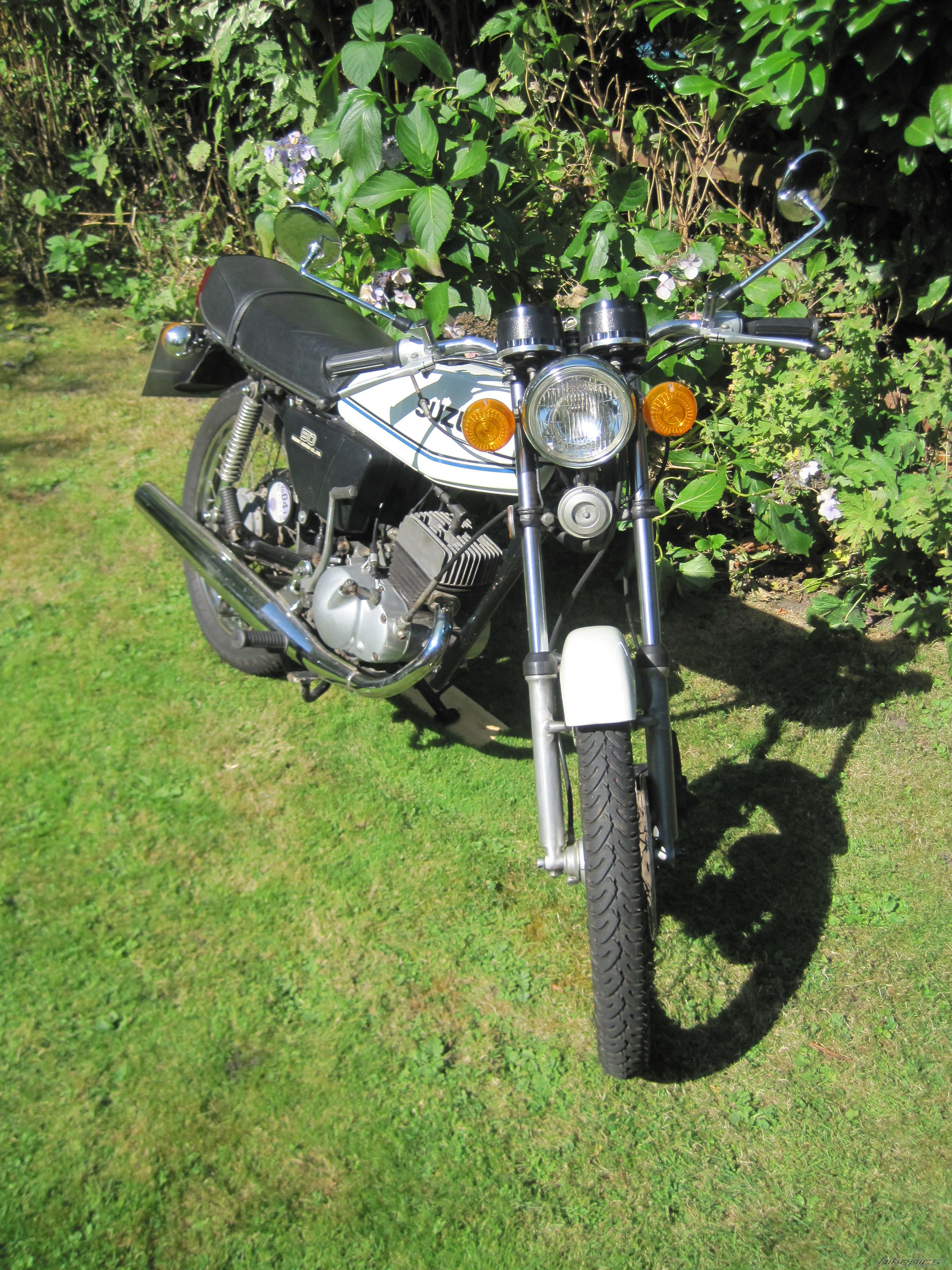 1979 SUZUKI GT 50 | Picture 2453166 motorcycle photo